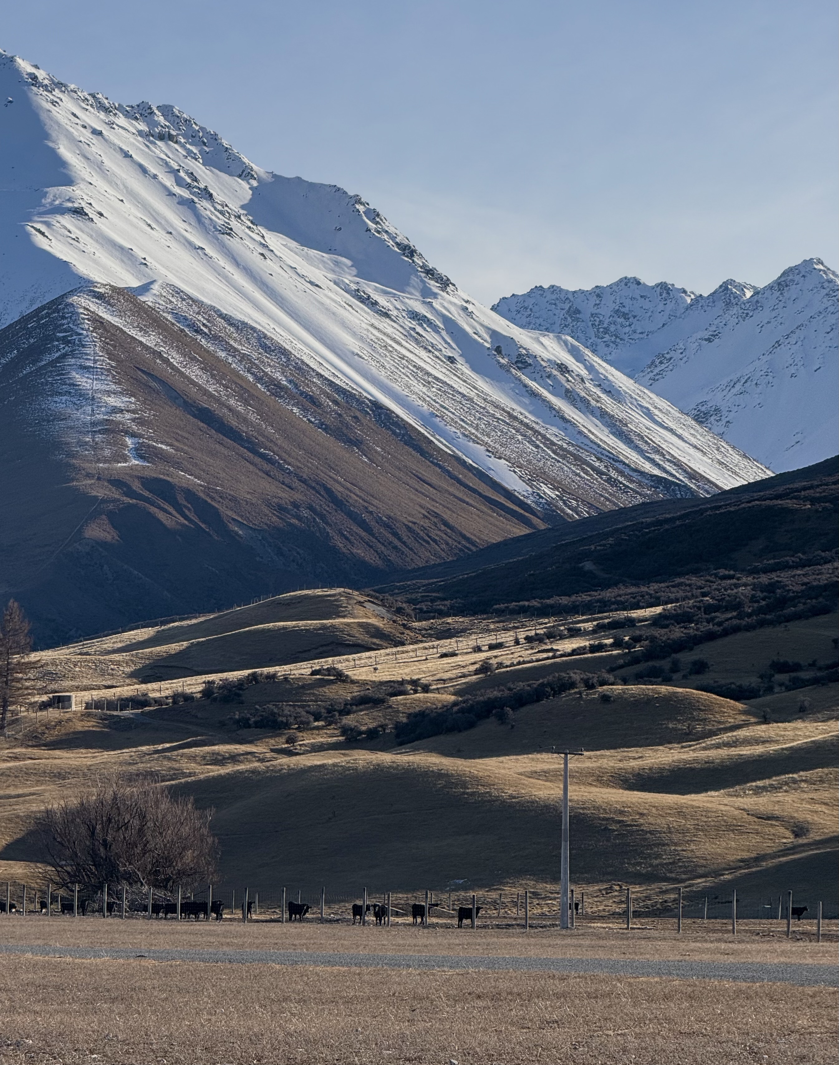 Side of Lake Tekapo/Lillybank Road image 8