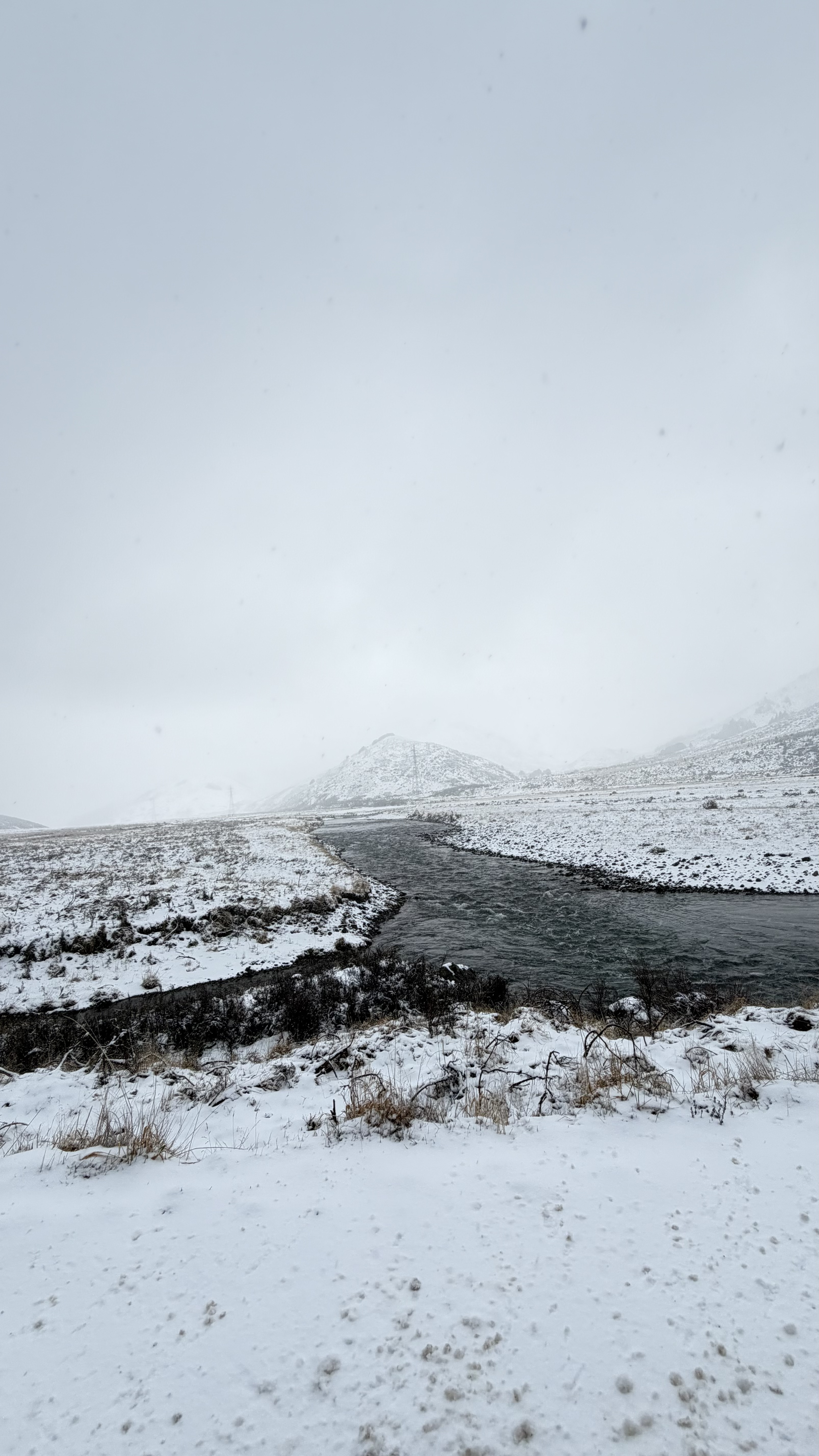 Molesworth Station image 5