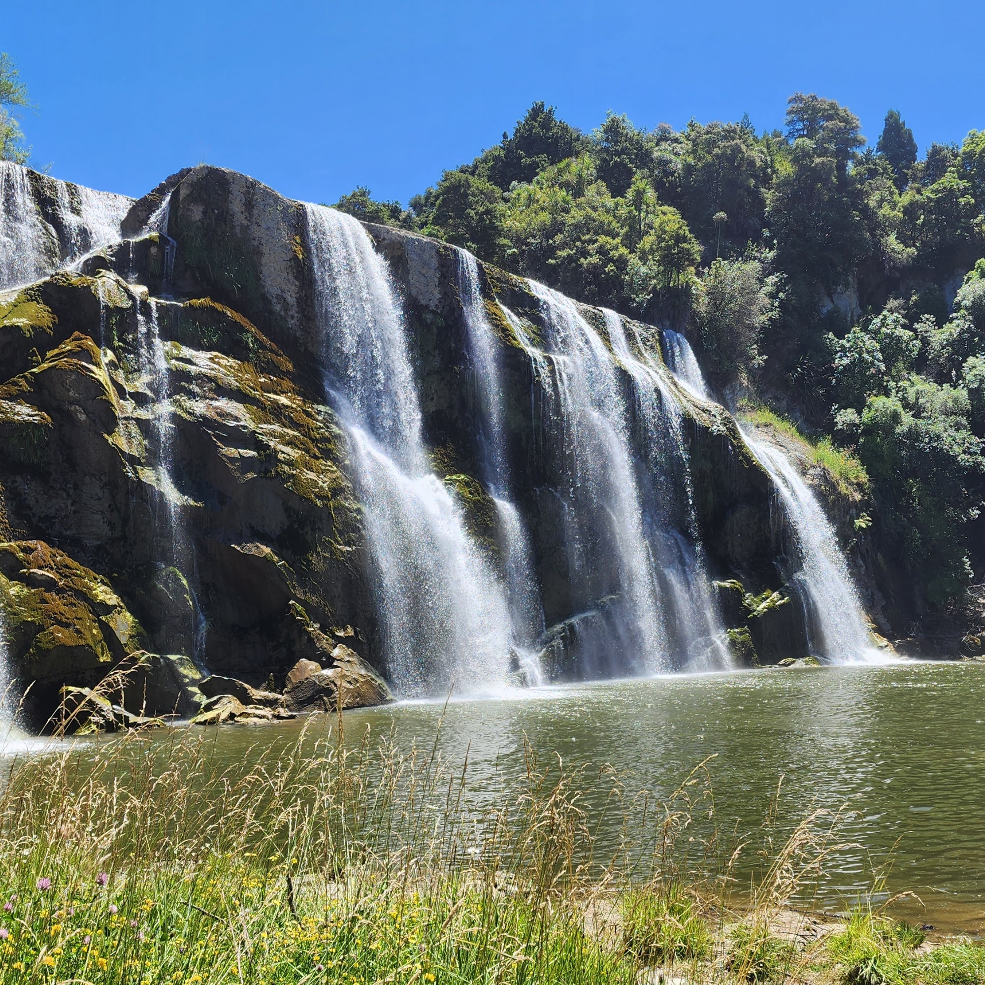 Waihi Falls image 8