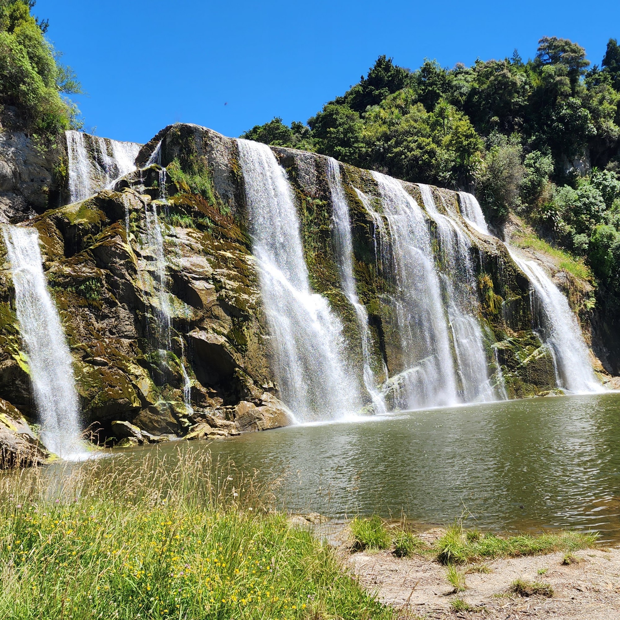 Waihi Falls image 5