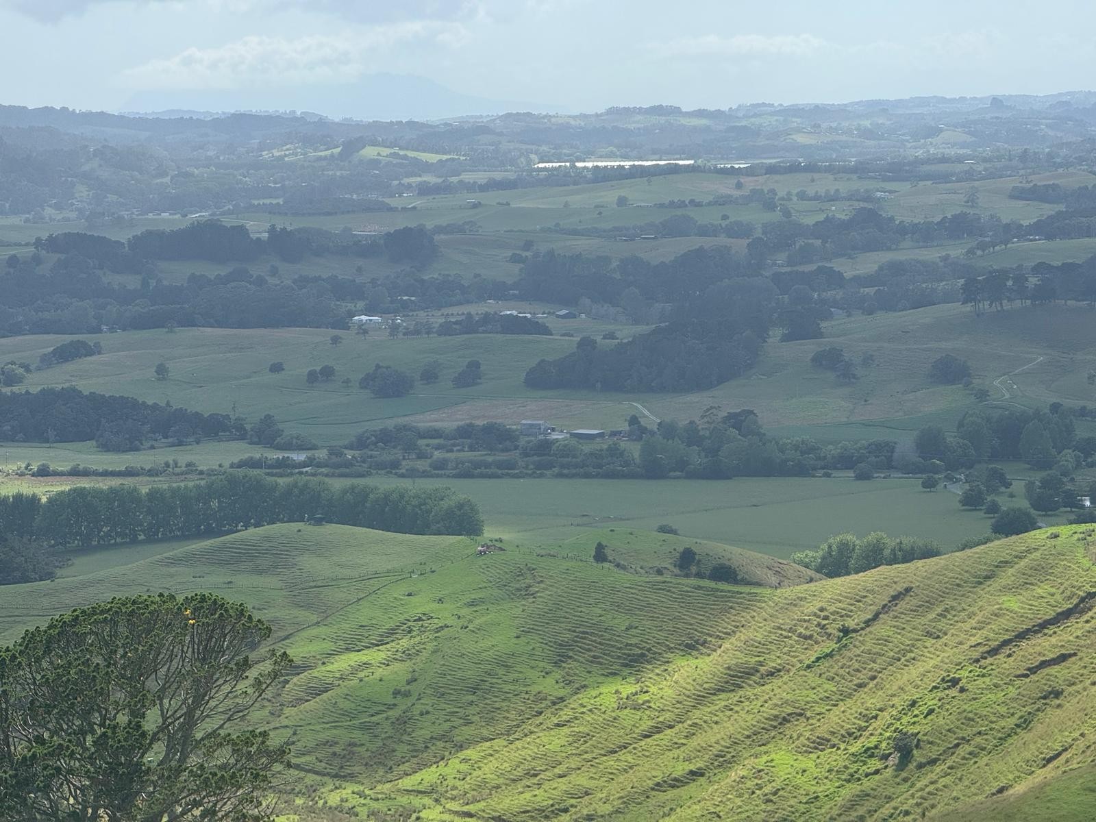 Kaipara Hills Road image 1