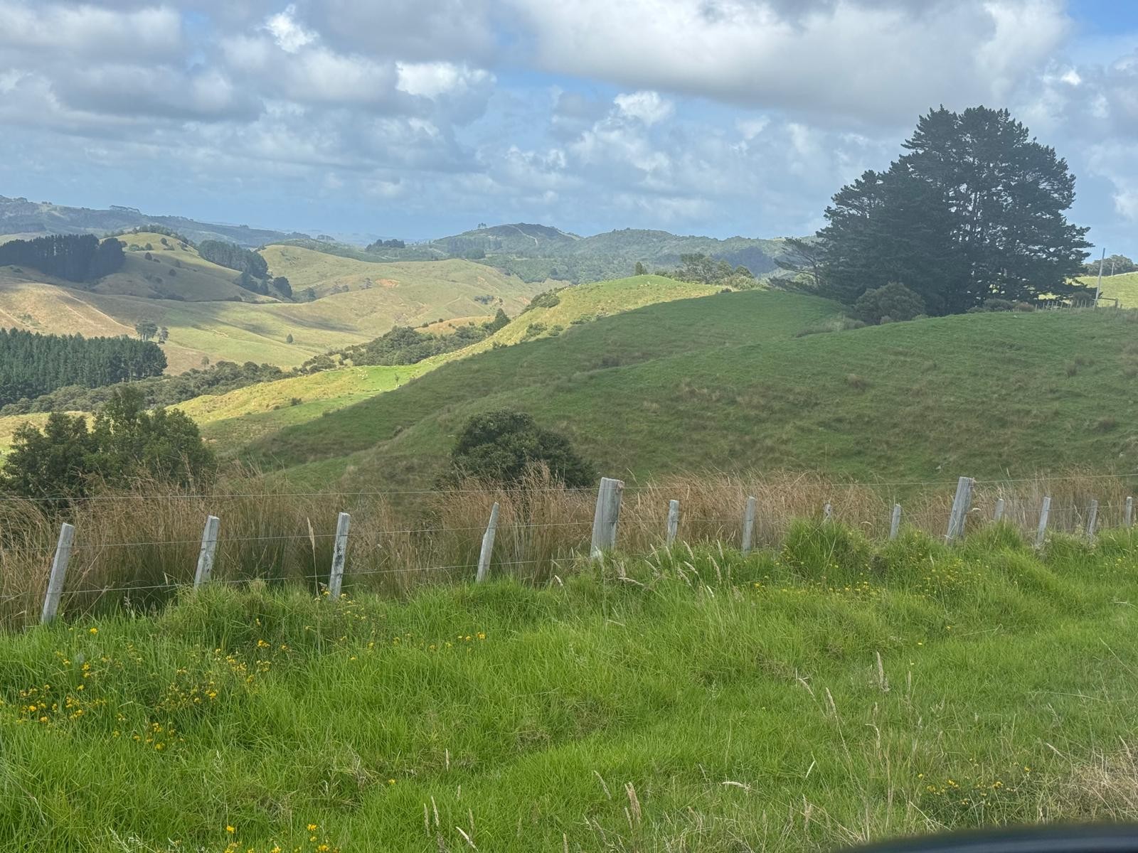 Kaipara Hills Road image 4