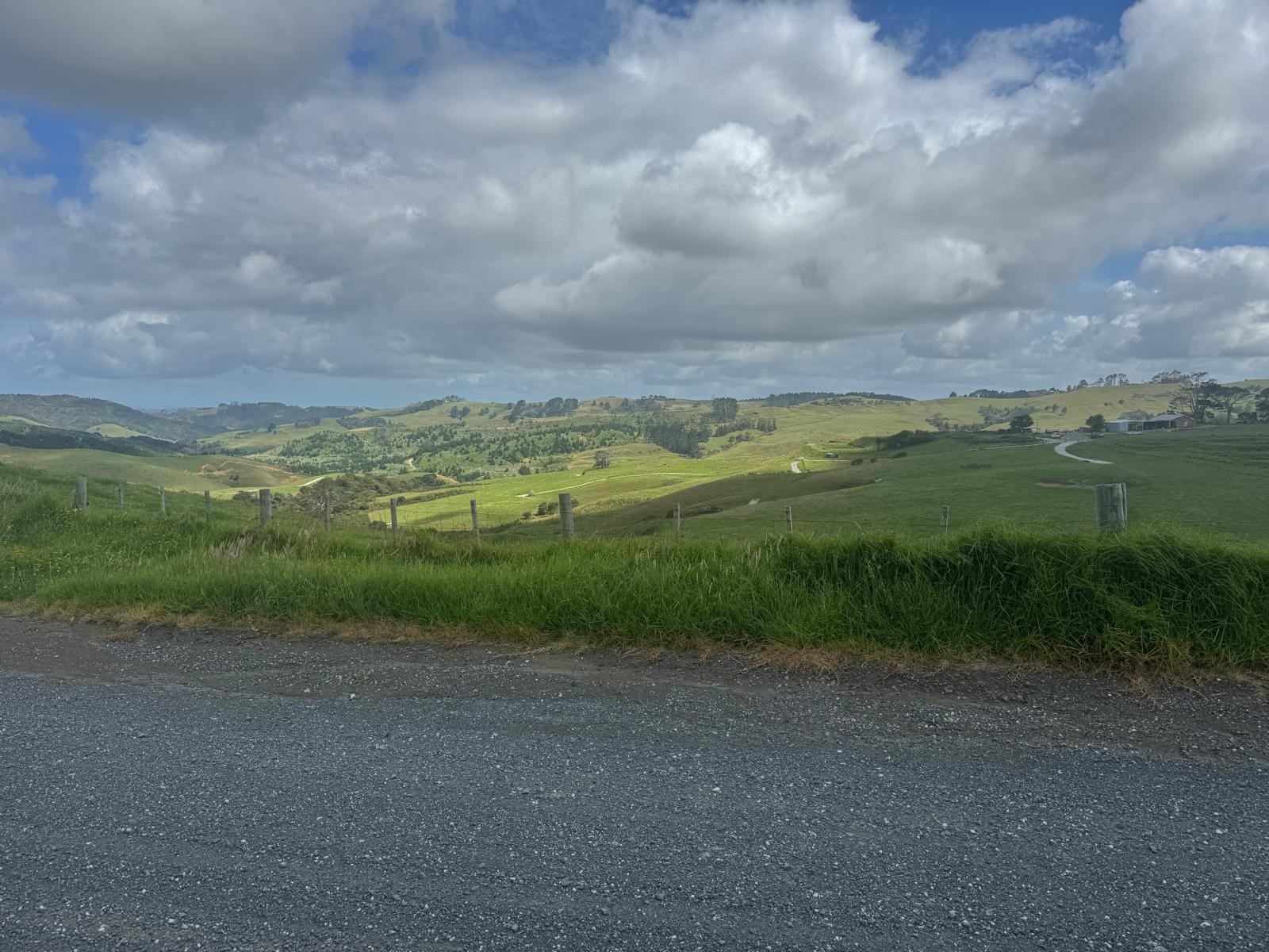 Kaipara Hills Road image 2