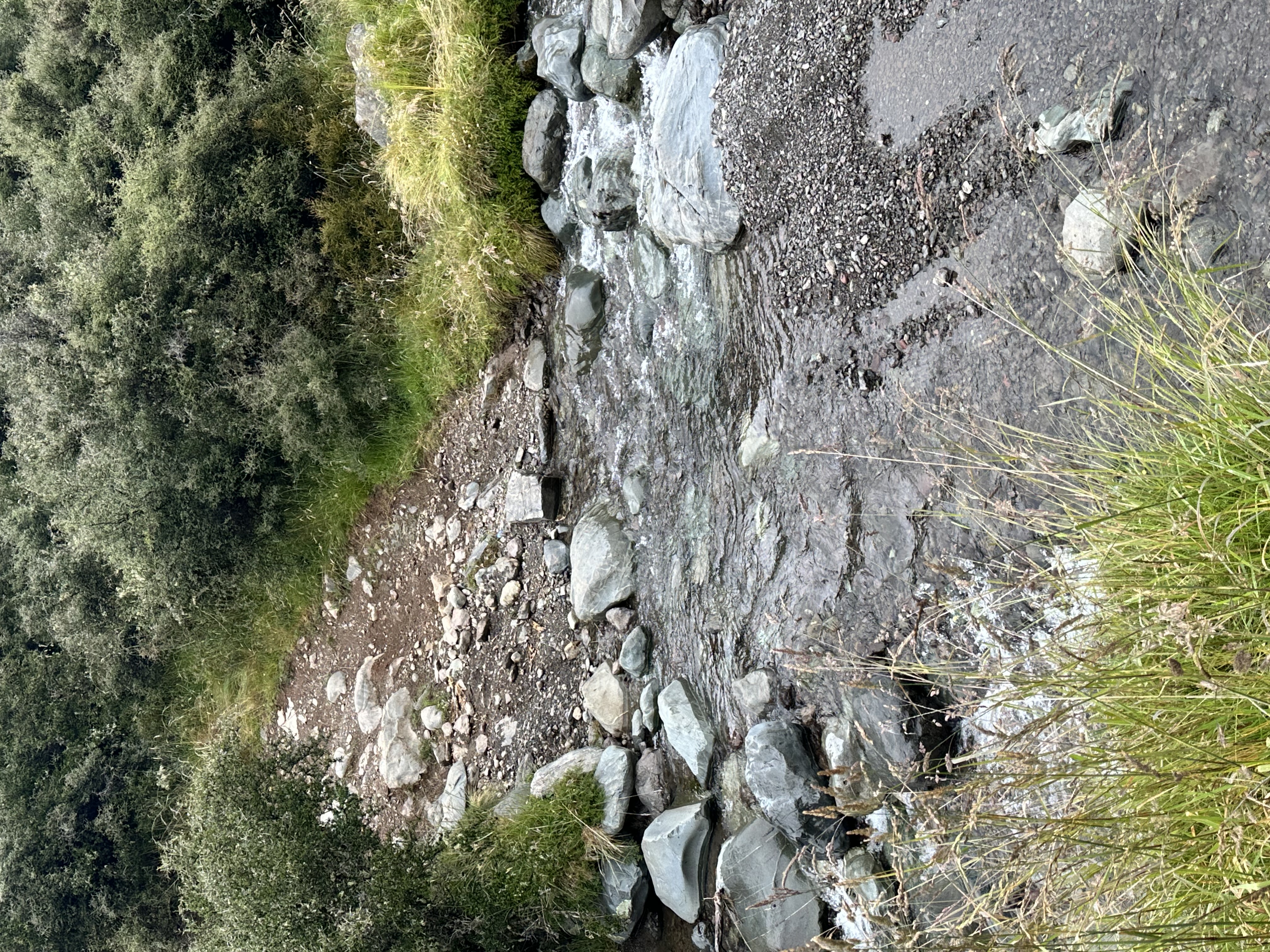 Forks Hut Track image 5