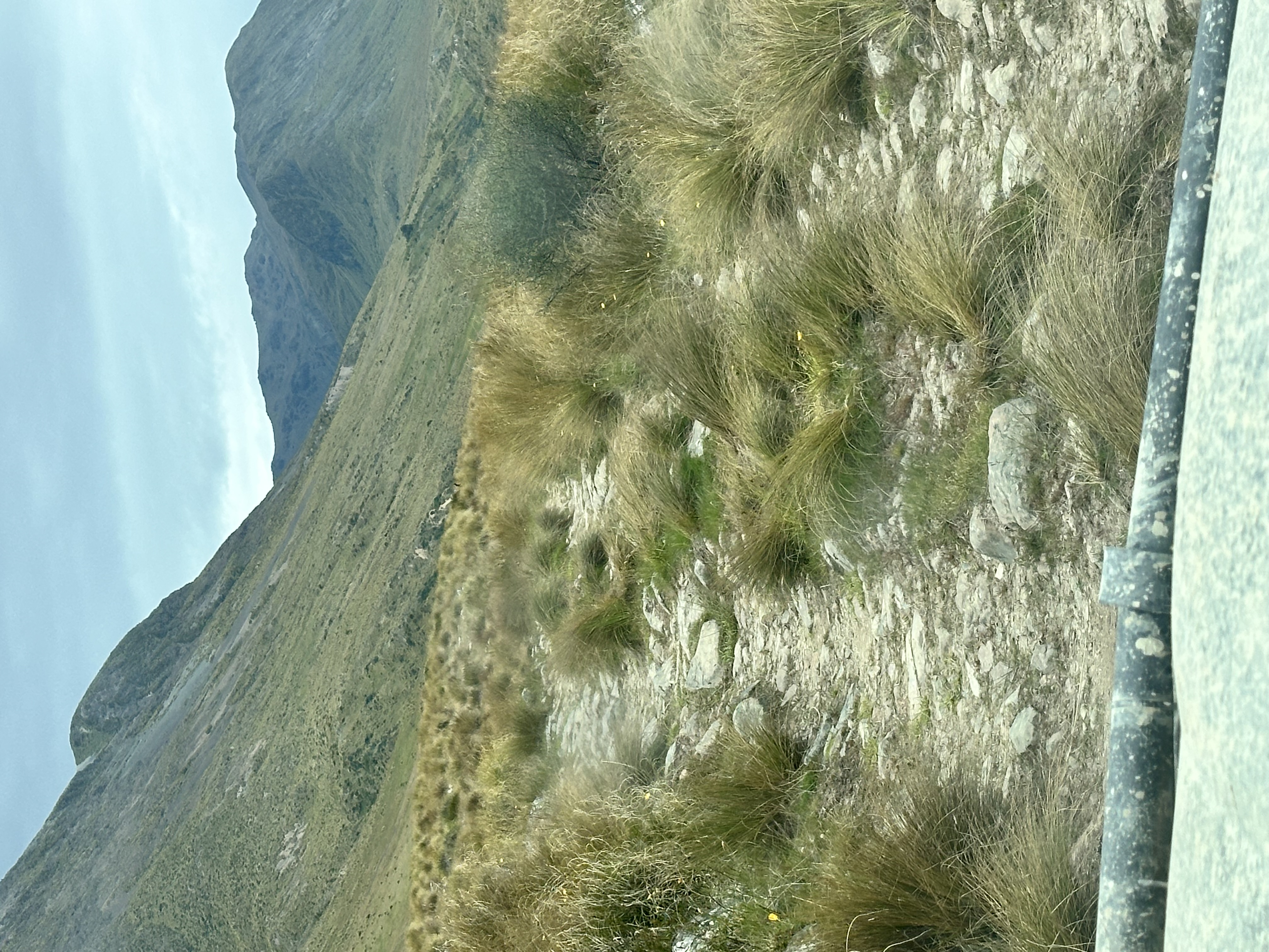 Forks Hut Track image 2