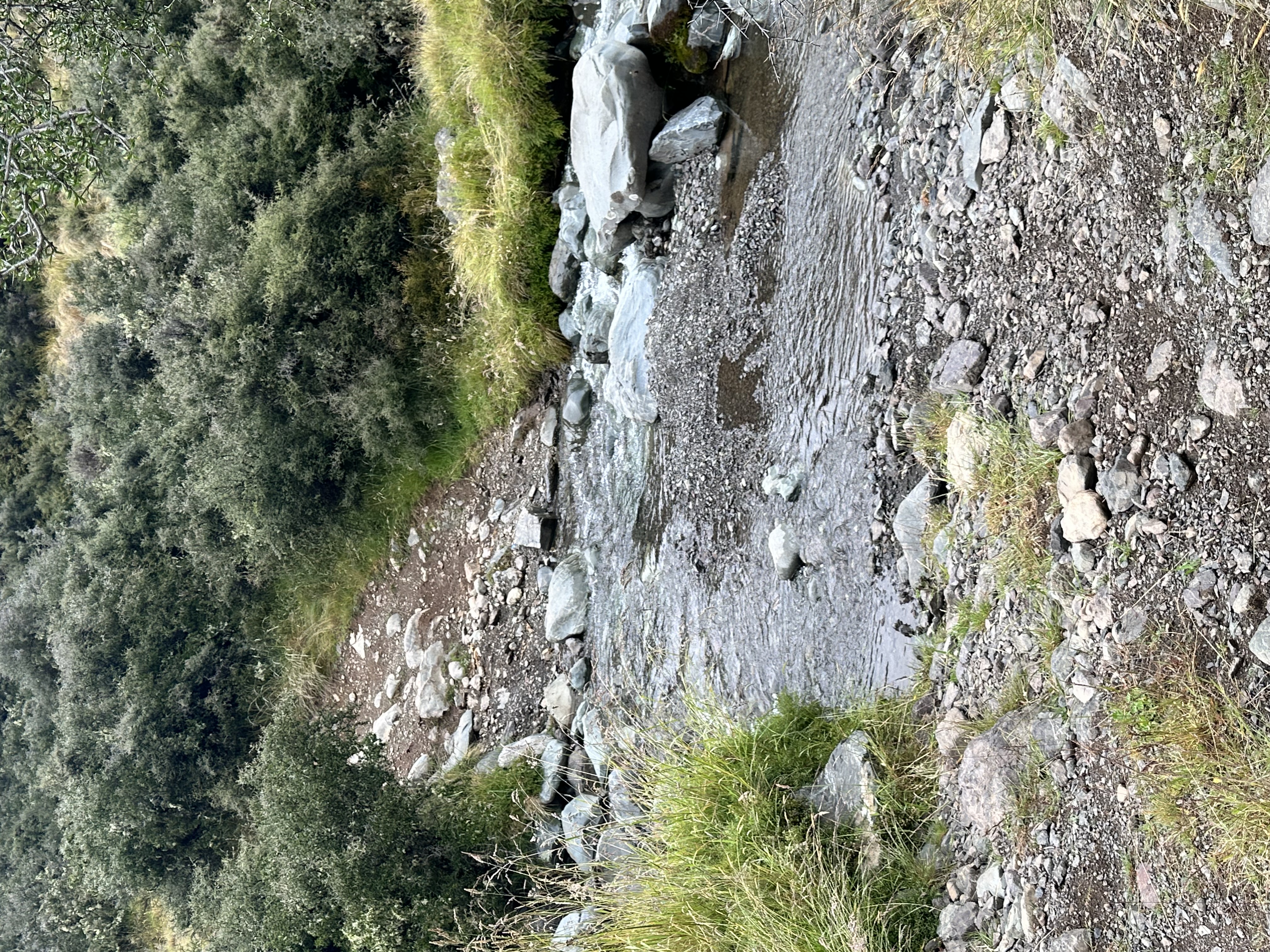 Forks Hut Track image 6