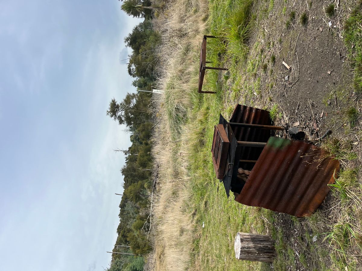 Lake Tarawera Outlet (Te Tapahoro) Camps image 6
