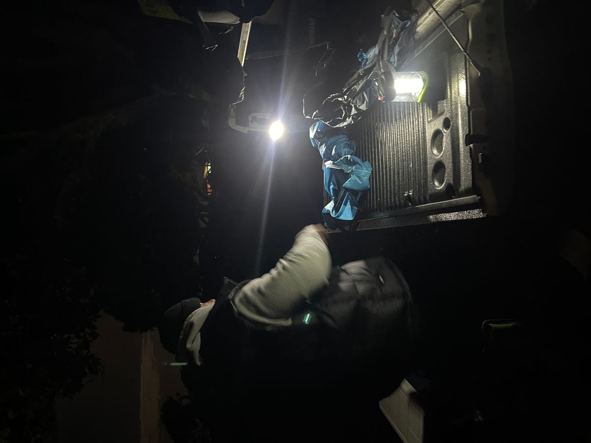 Matata Campsite image 5