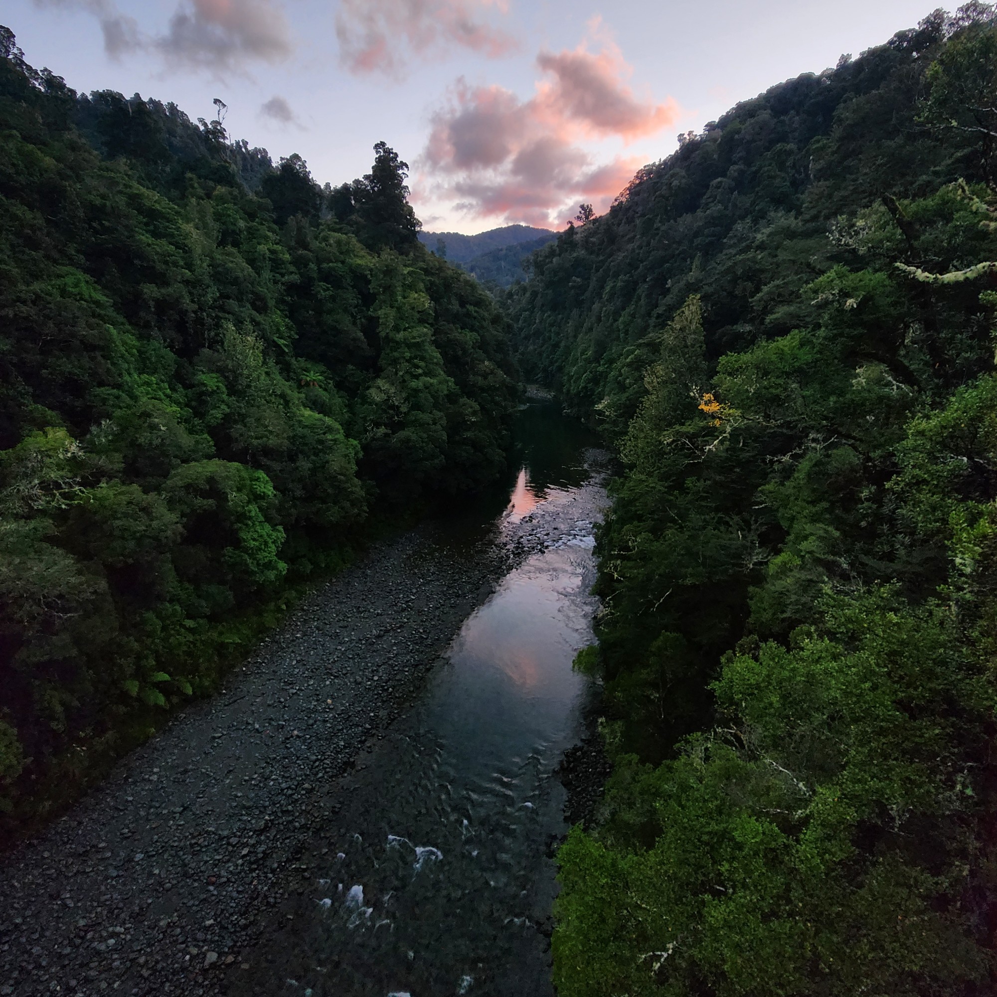 Waiohine Gorge image 2