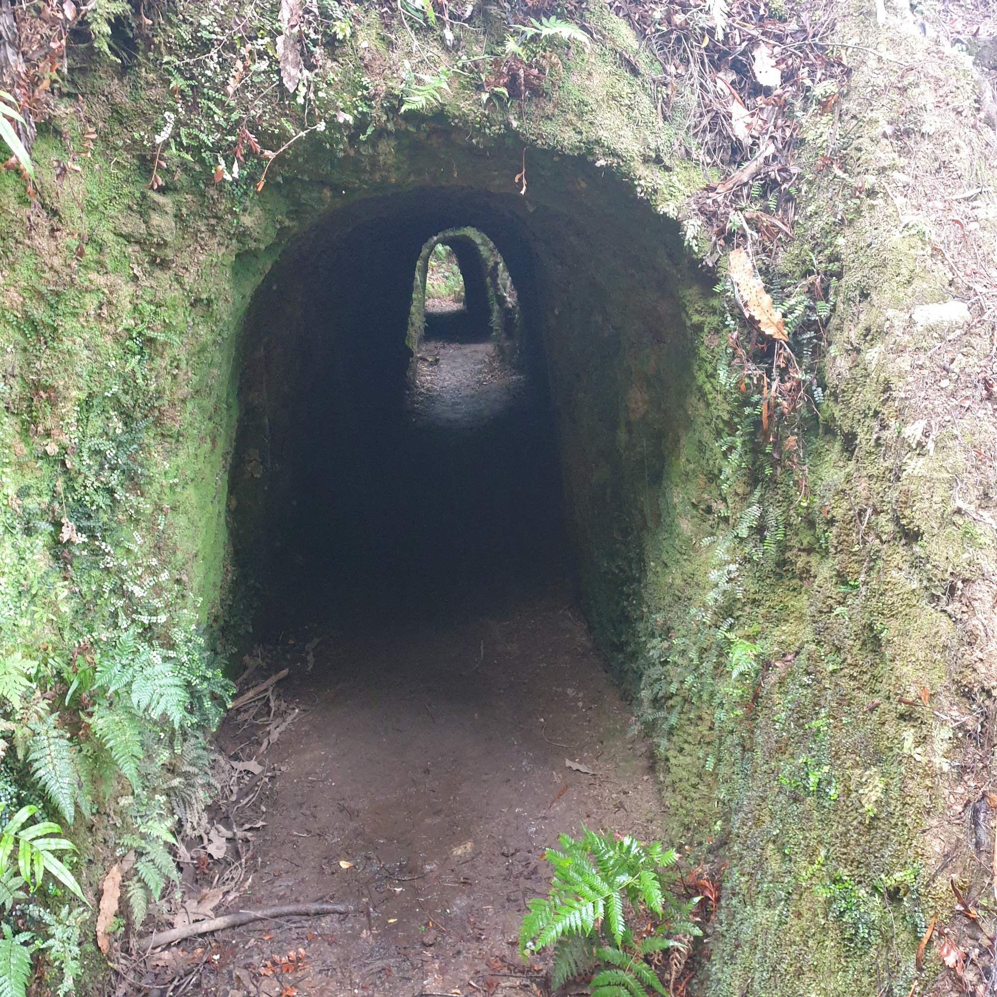 Broken Hills Campsite image 8