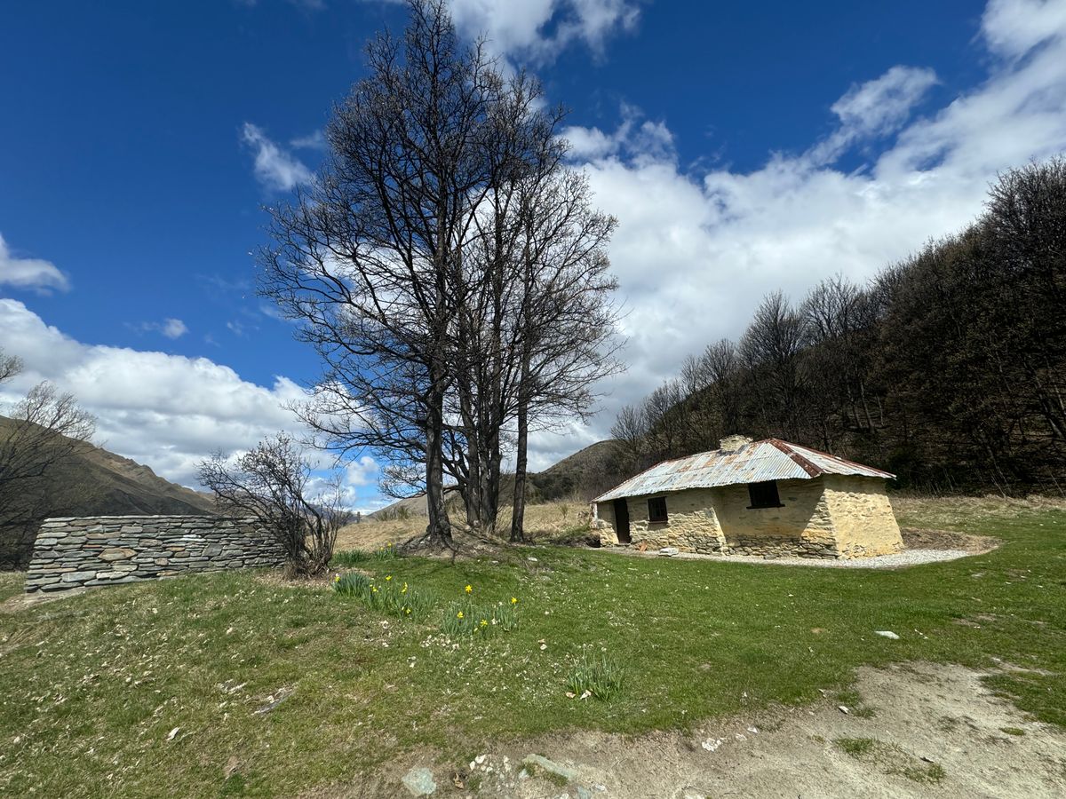 Macetown Campsite image 1