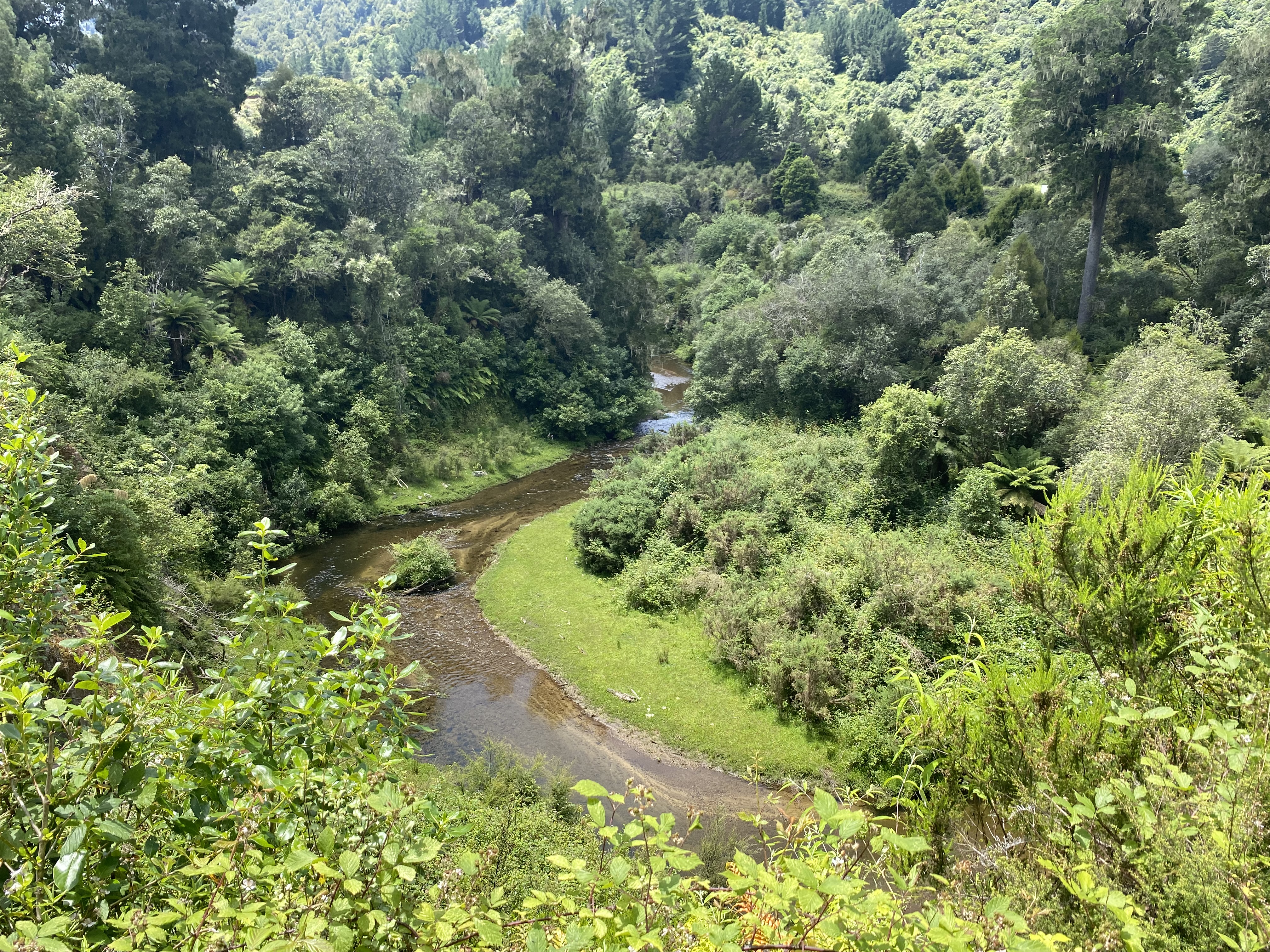 Okahu Road image 3