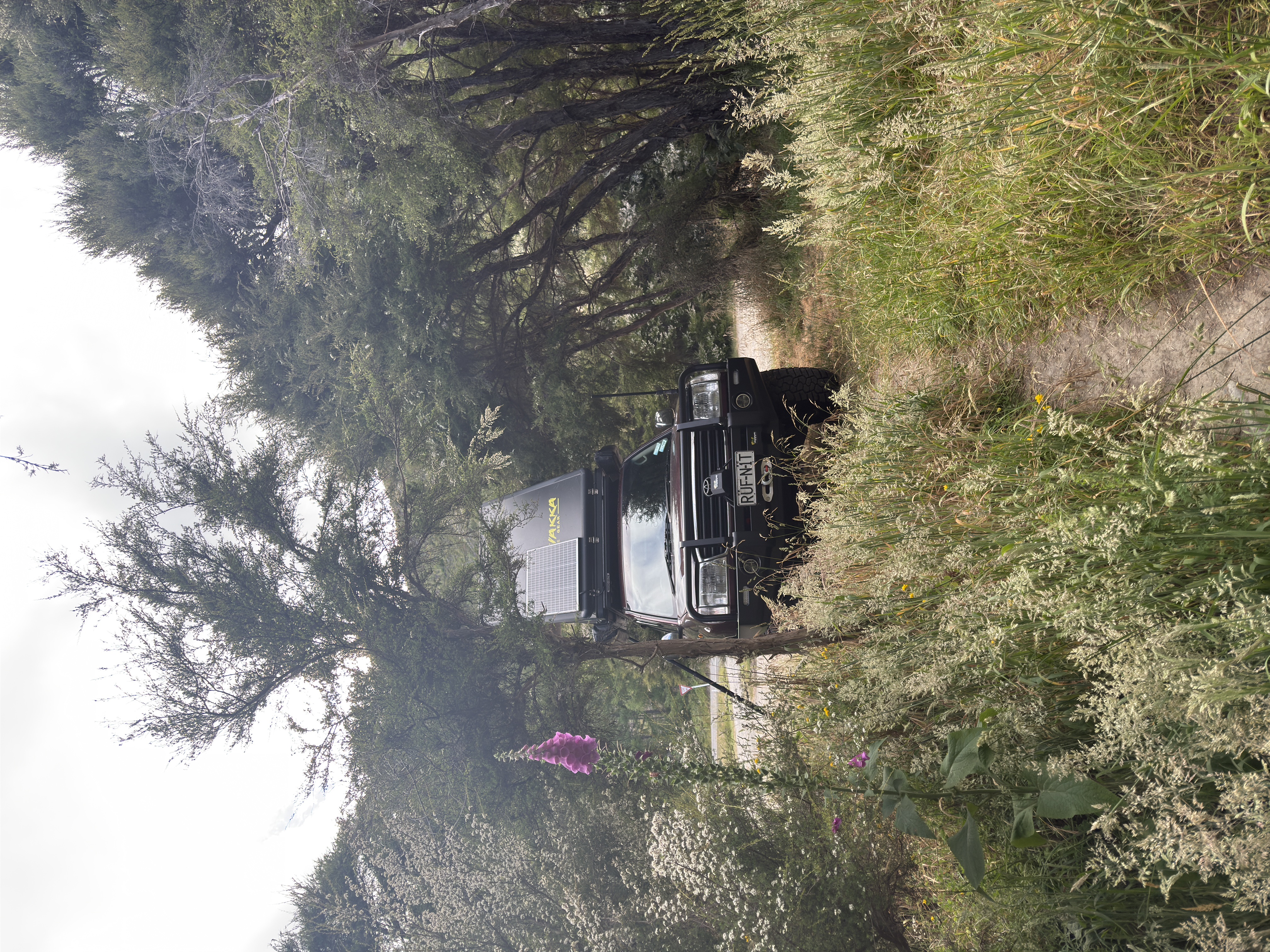 Kowhai Point Campsite image 1