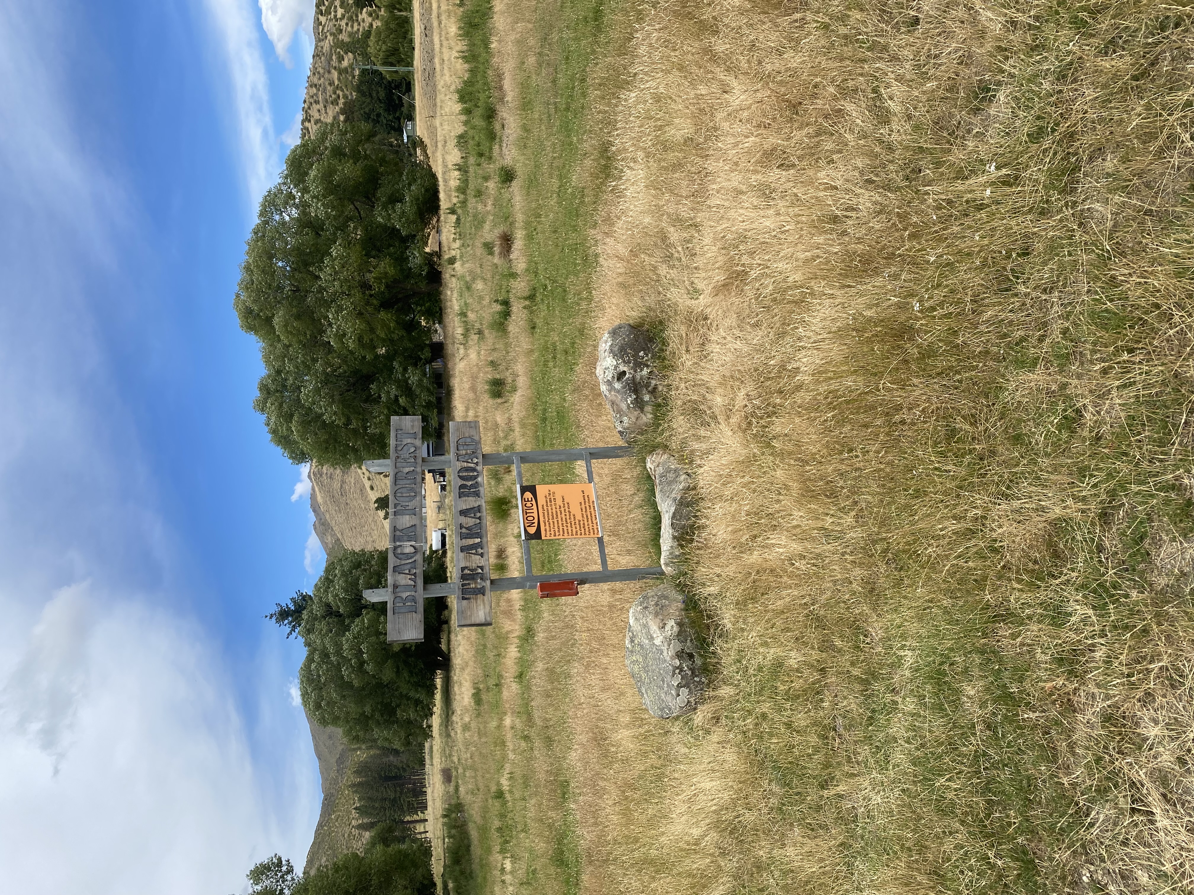 Black Forest Station image 5