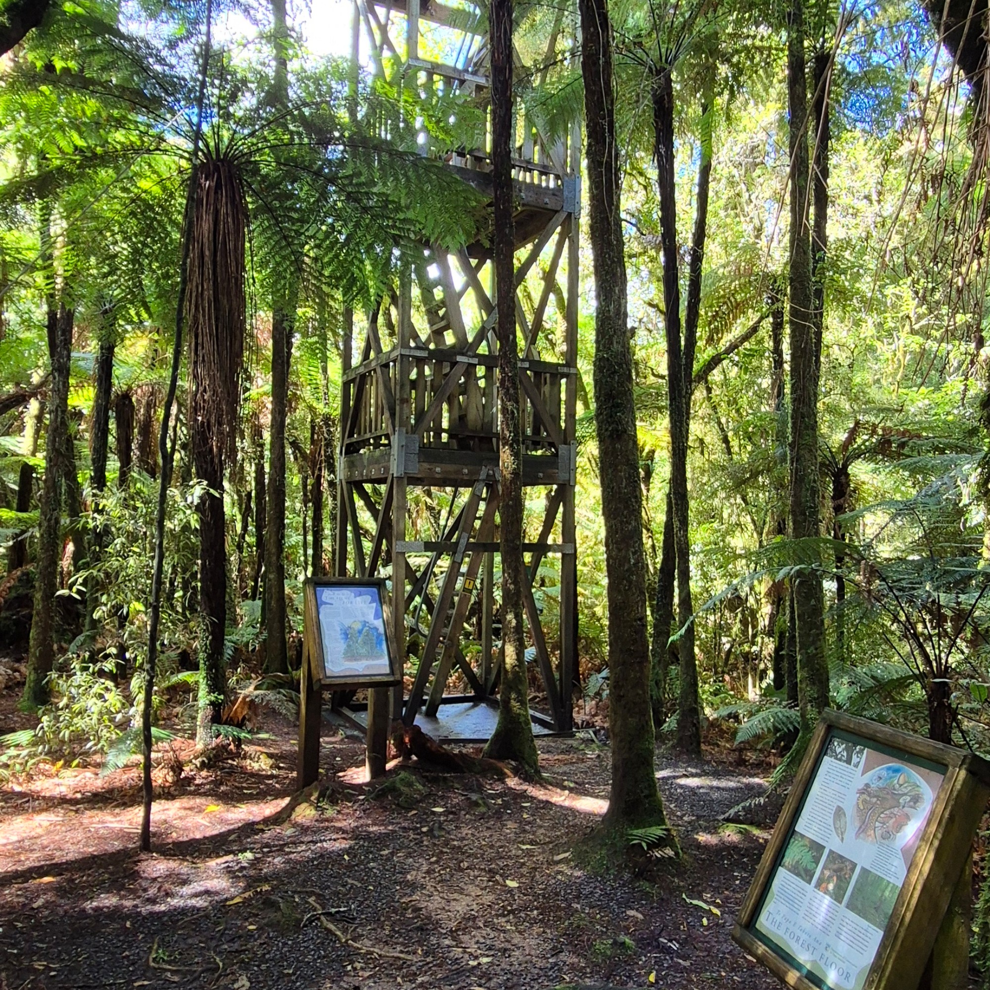 Fire Lookout image 5