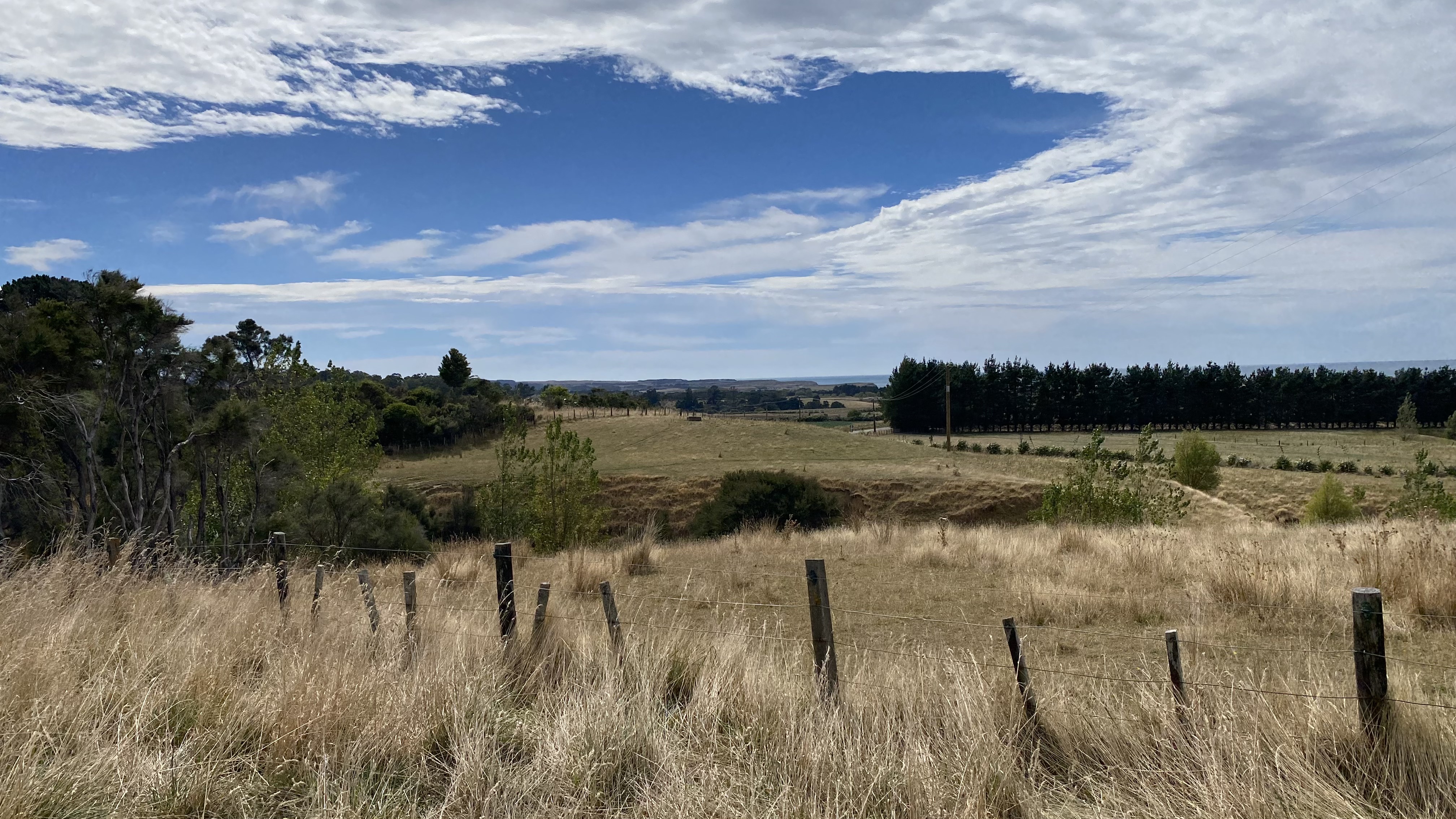 Kaiwhata Road (to Riversdale Beach) image 2