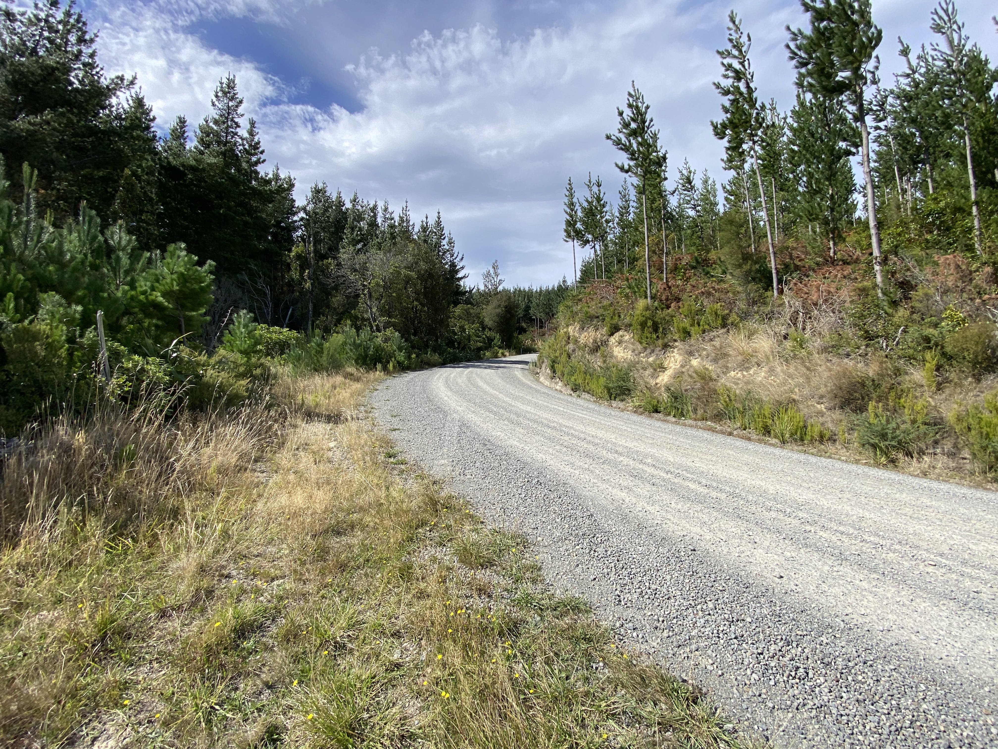 Kaiwhata Road (to Riversdale Beach) image 1