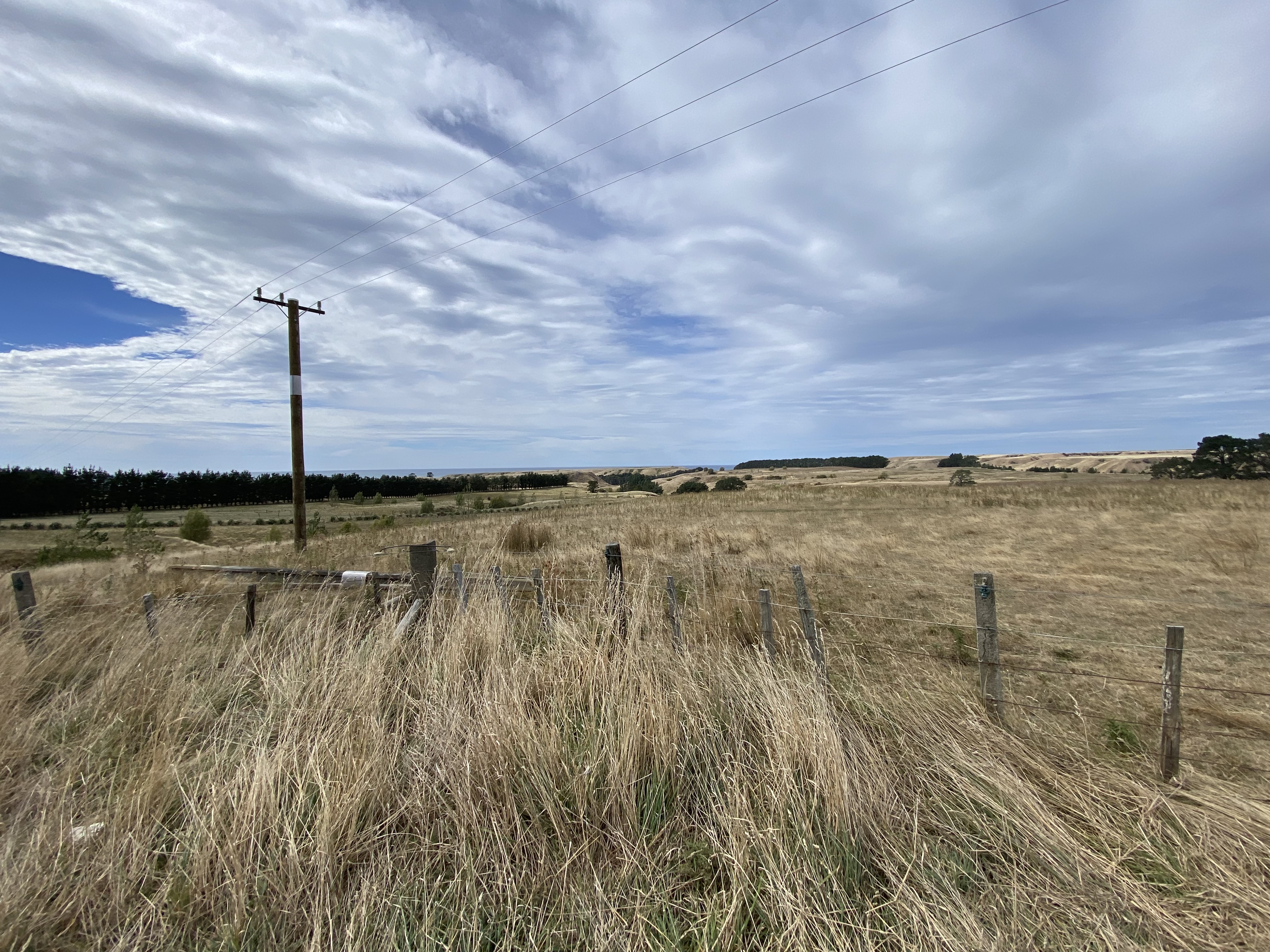 Kaiwhata Road (to Riversdale Beach) image 3