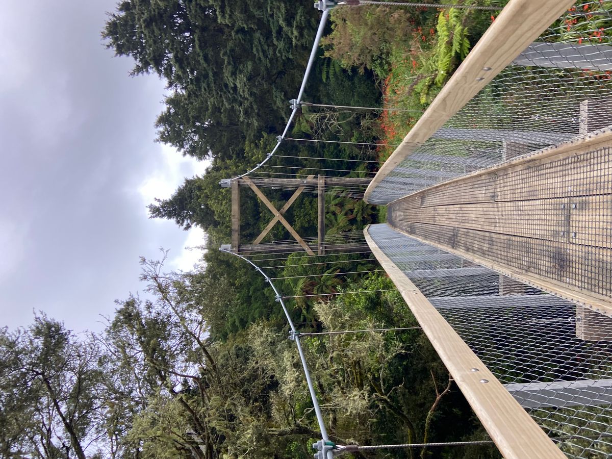 Dickey Flat Campsite image 6