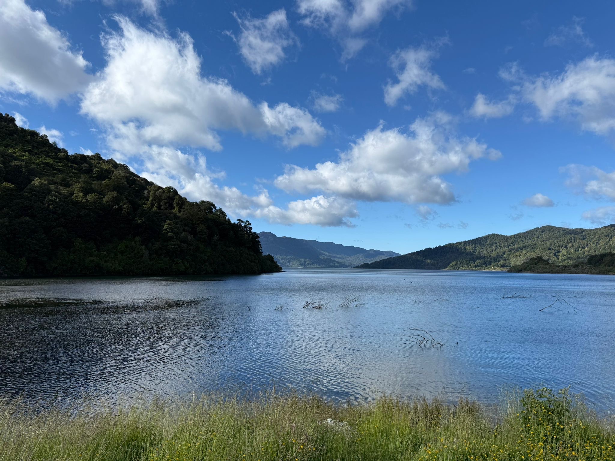 Mokau Landing Campsite image 3