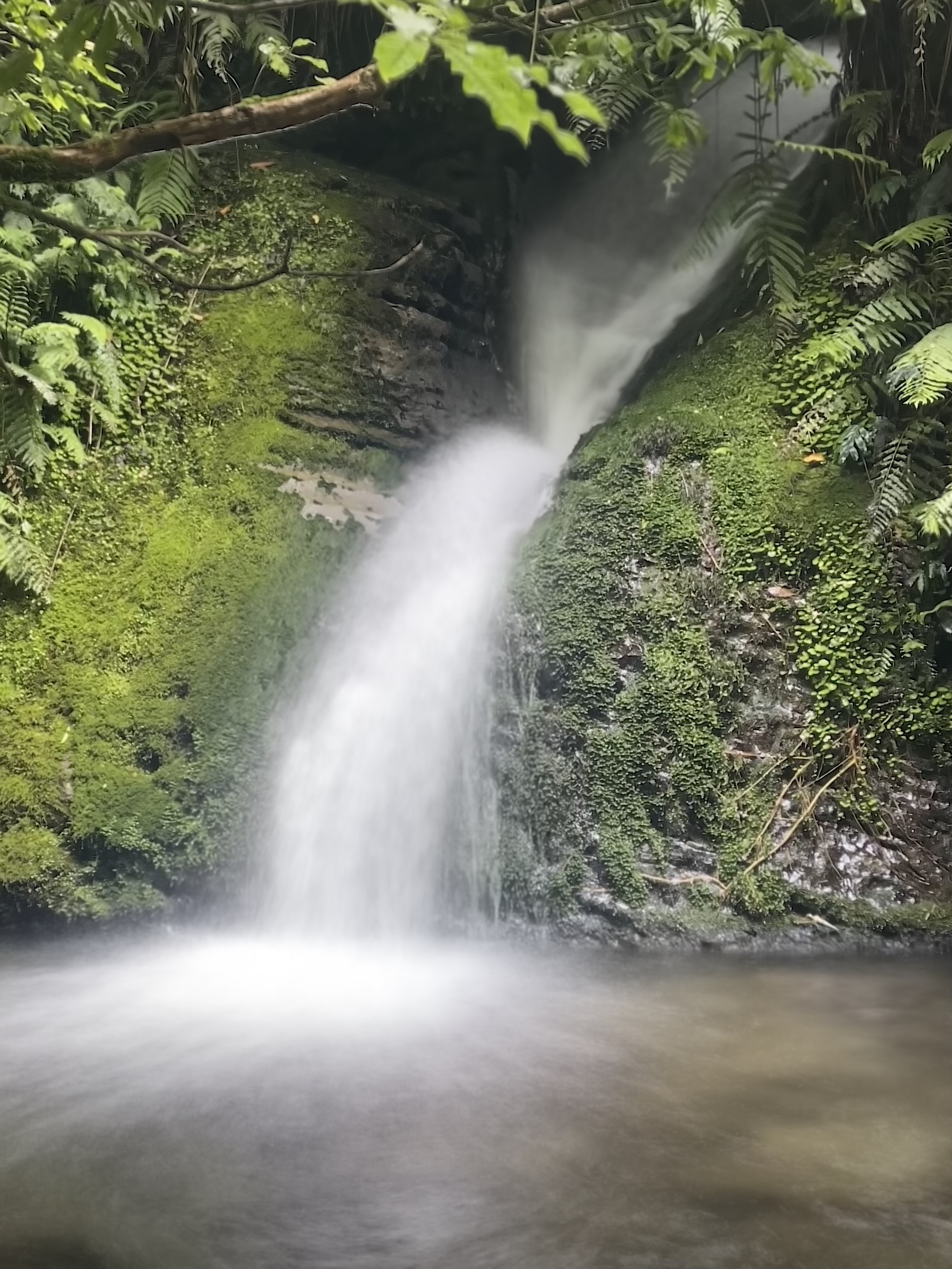 Mokau Landing Campsite image 4