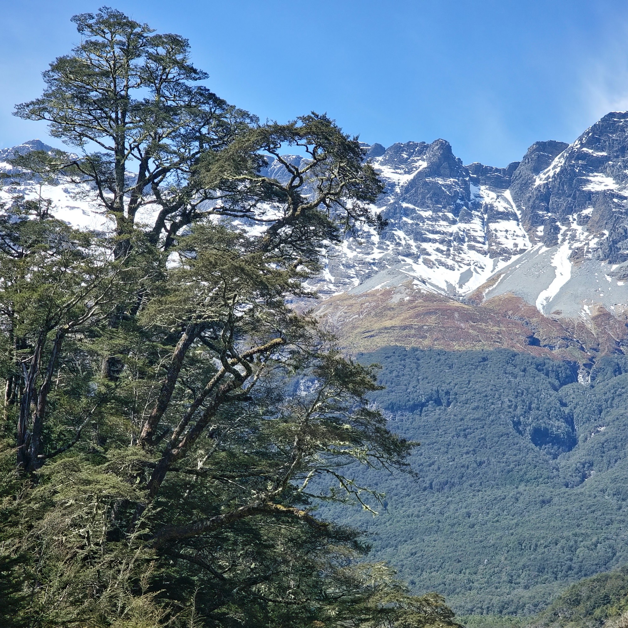 Glenorchy to Paradise image 4