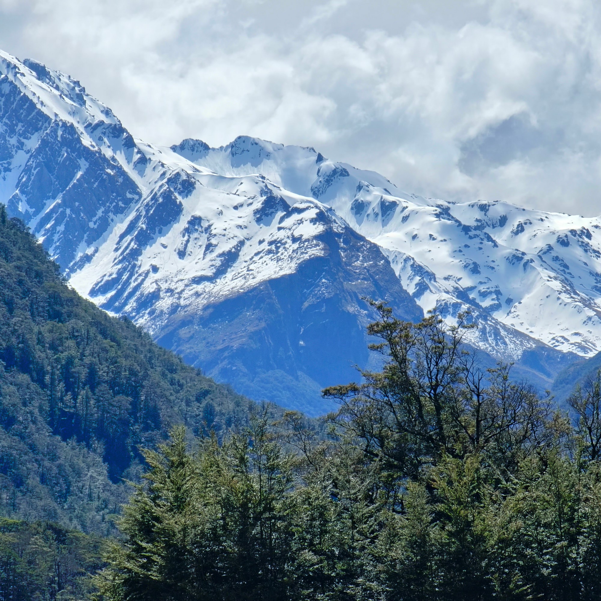 Glenorchy to Paradise image 6