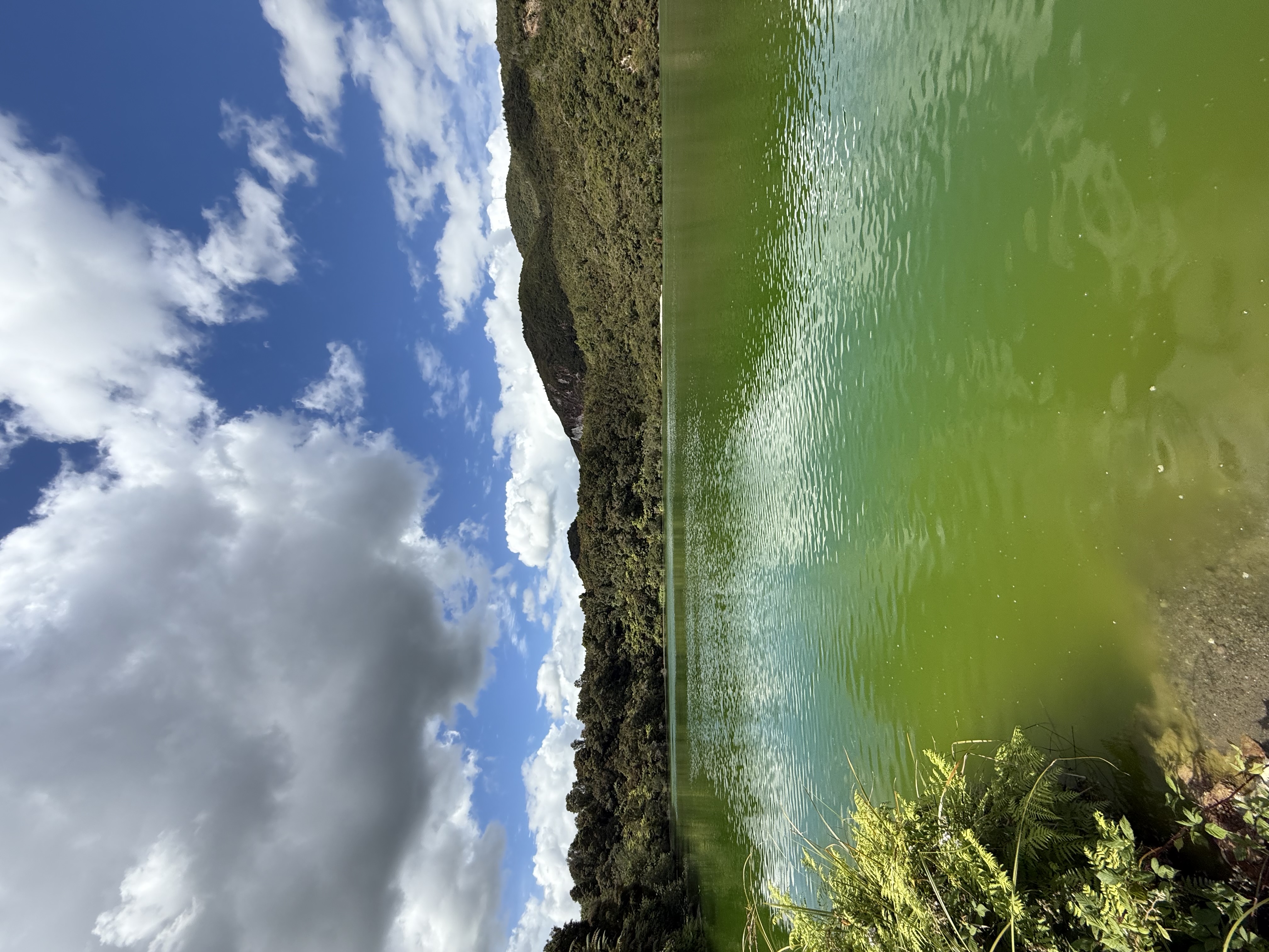 Old Waiotapu Road/Kerosene Creek image 2