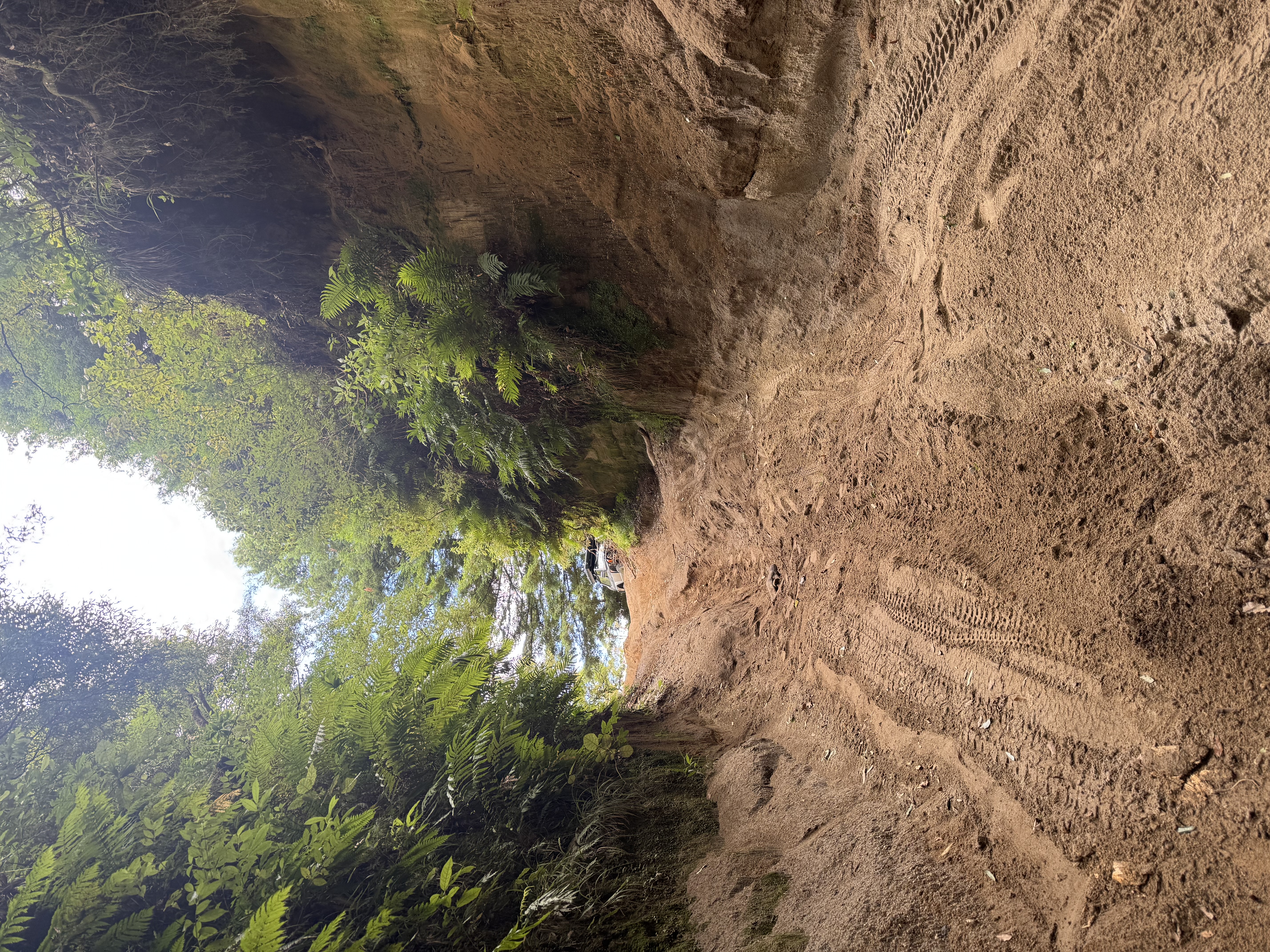 Pongakawa Valley Road image 3