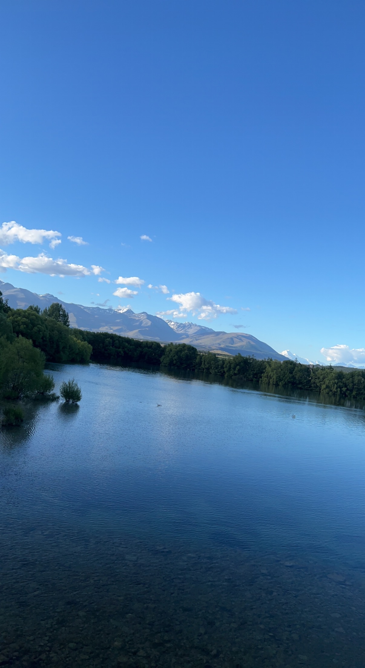 Lake Poaka Campsite image 2