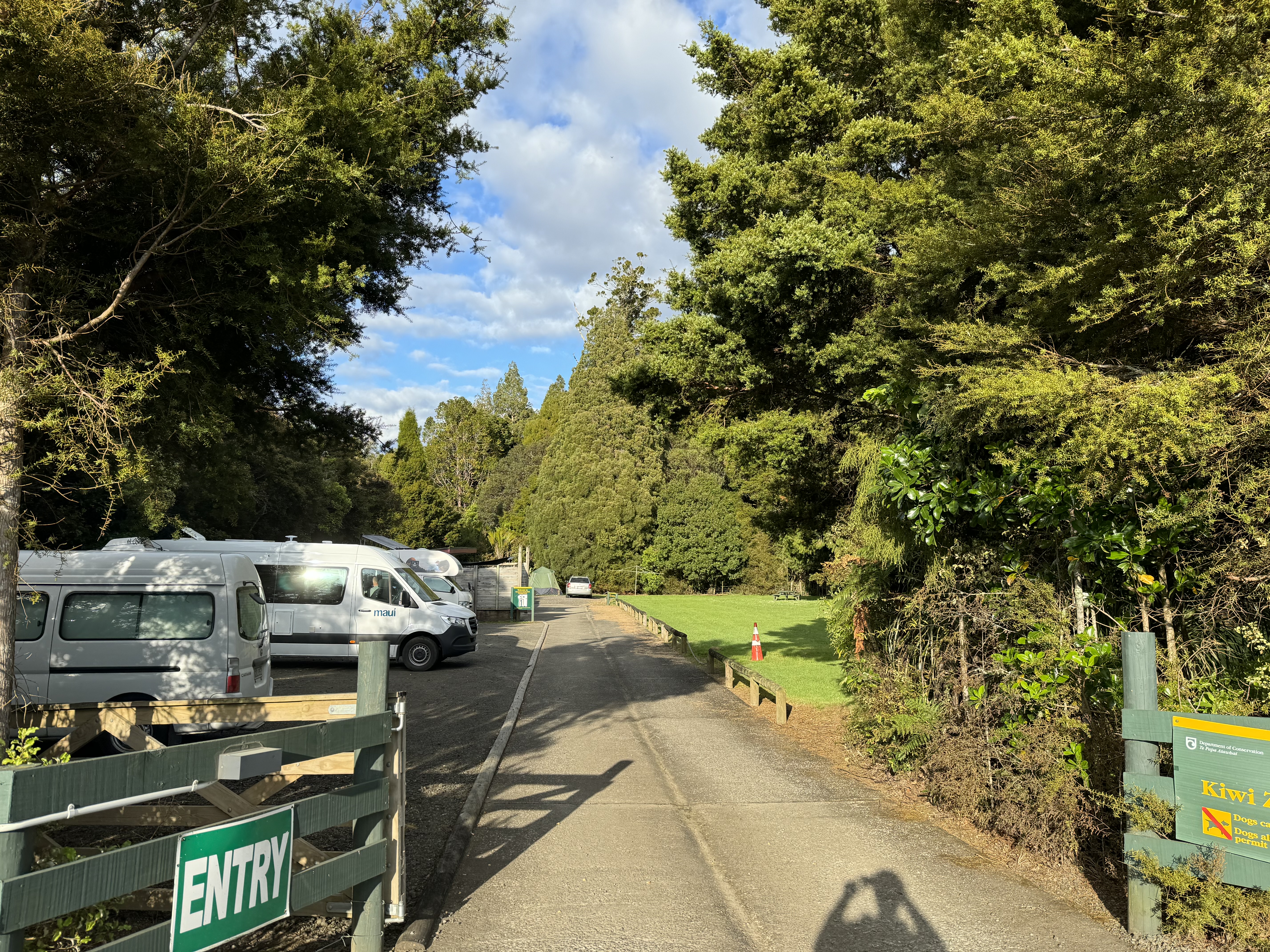 Trounson Kauri Park Campground image 3