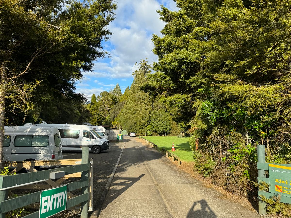 Trounson Kauri Park Campground image 3