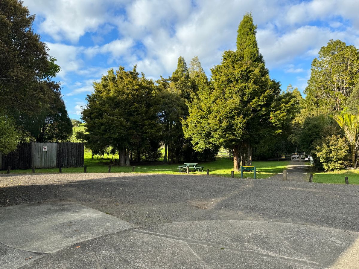 Trounson Kauri Park Campground image 2
