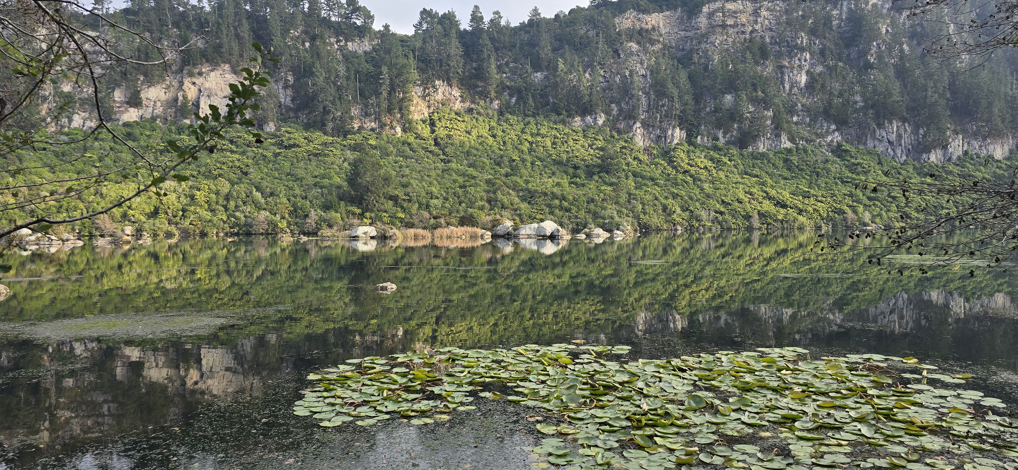 Dunham's Point Reserve image 4
