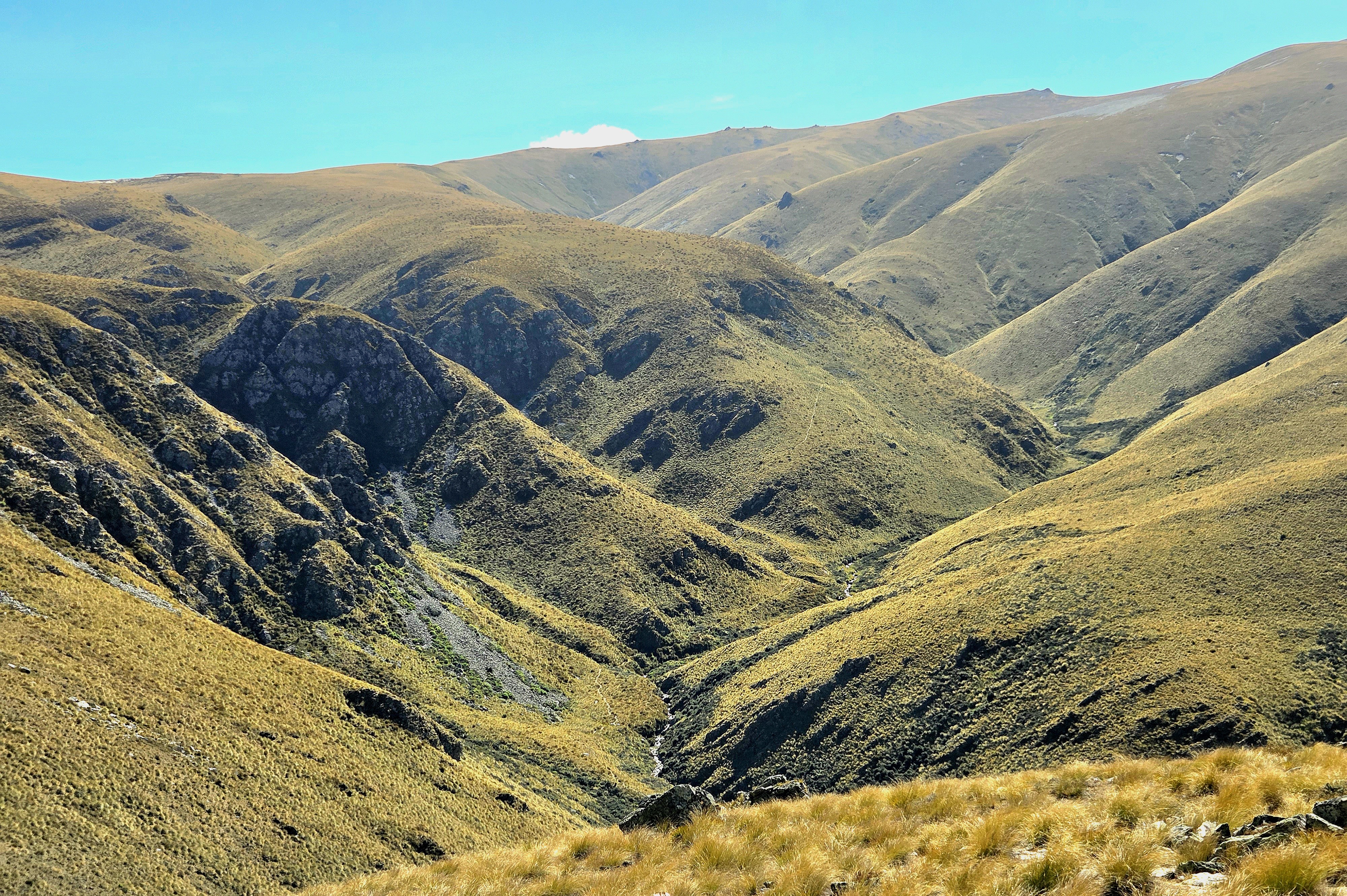 Johnstons Creek image 4
