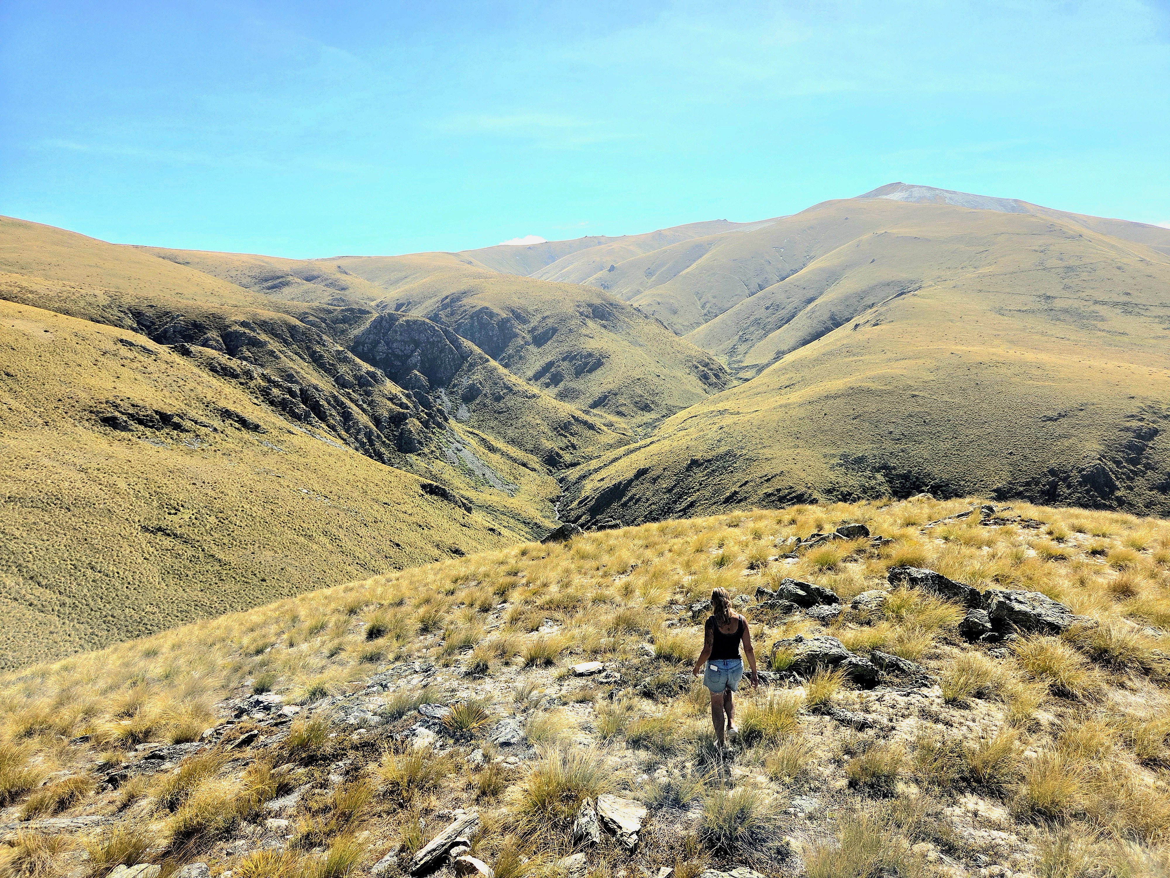 Johnstons Creek image 5