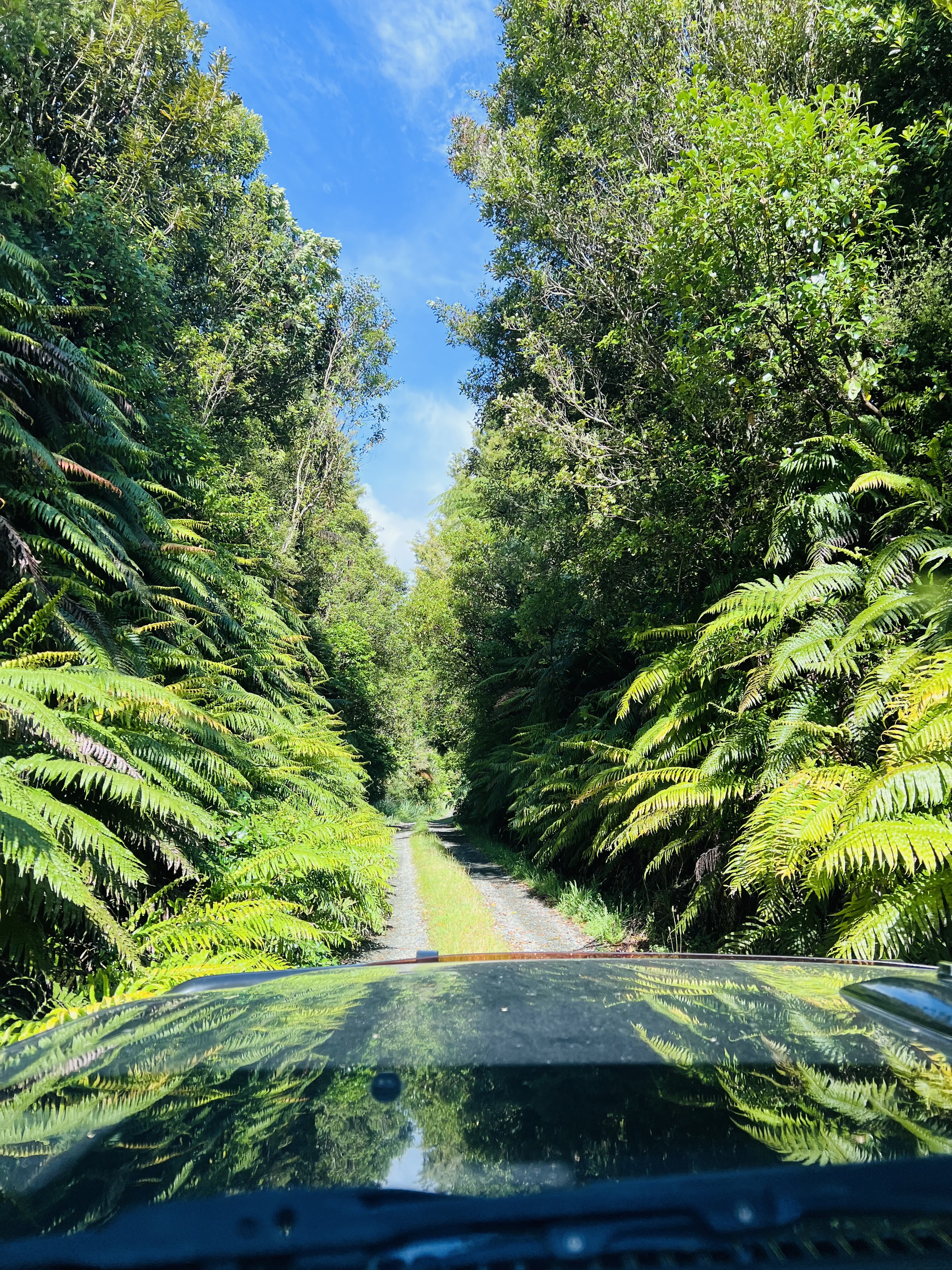 Owawenga Road image 2