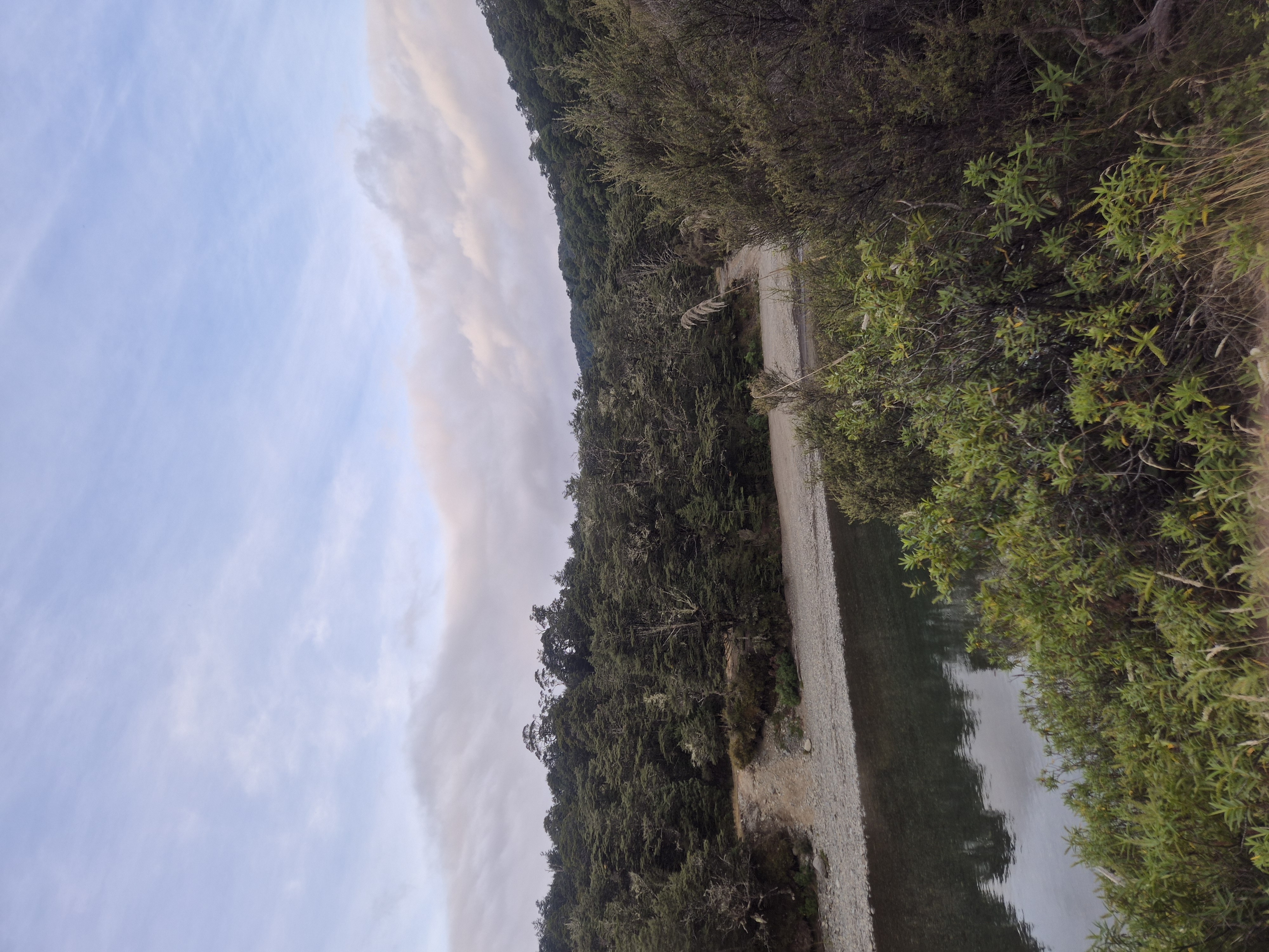 Waipakihi Campsite image 1