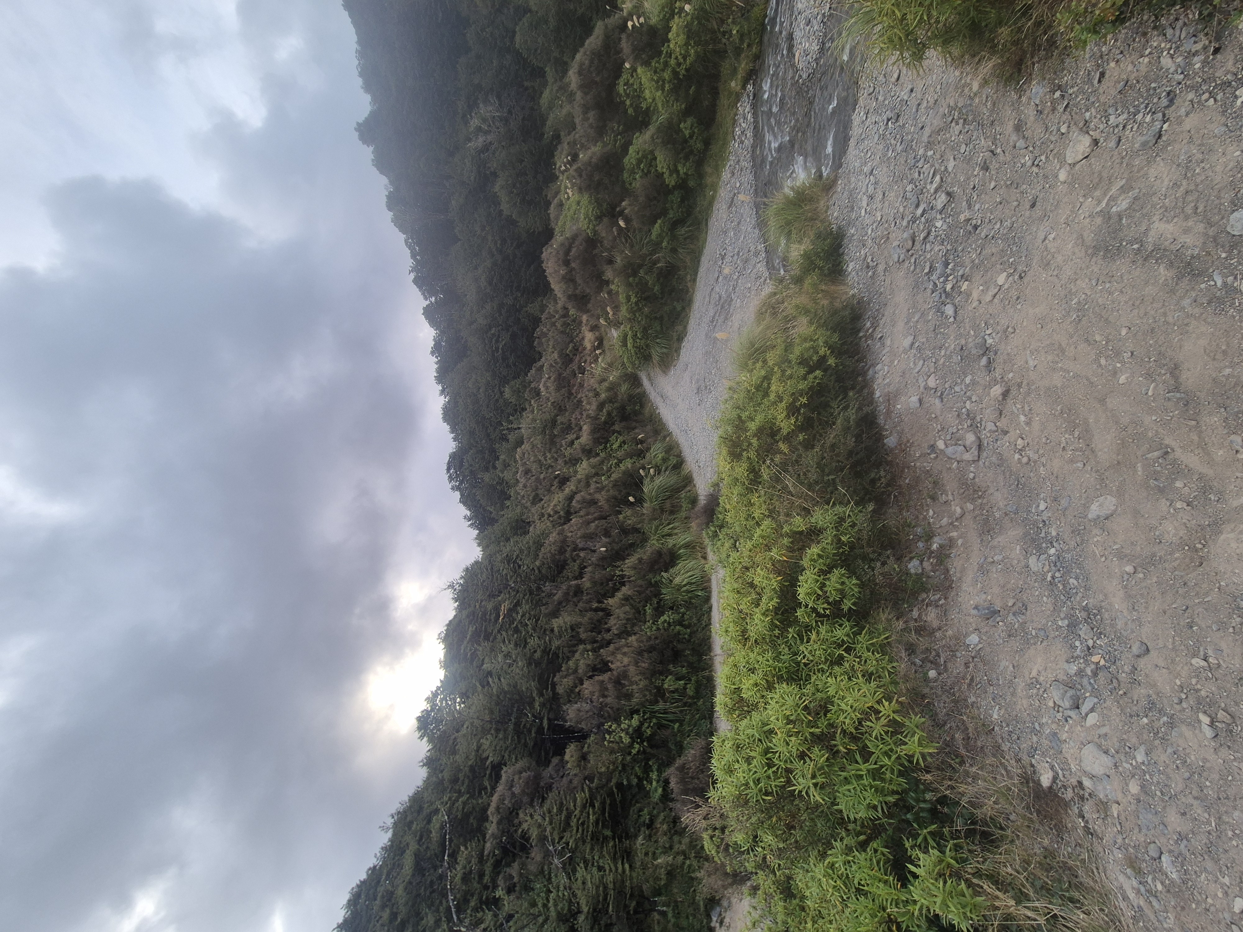 Waipakihi Campsite image 3