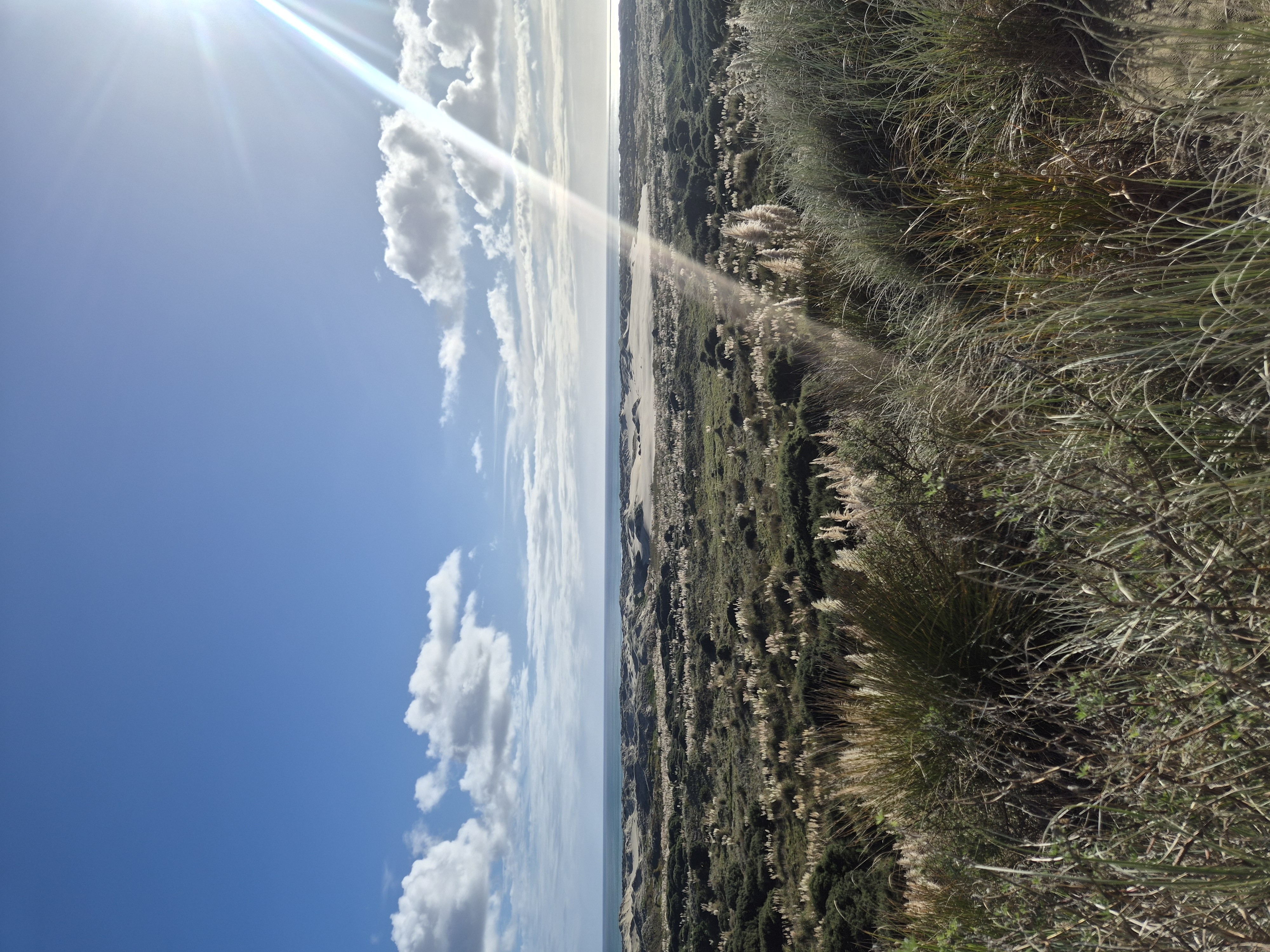 Poutu Inland Route image 1