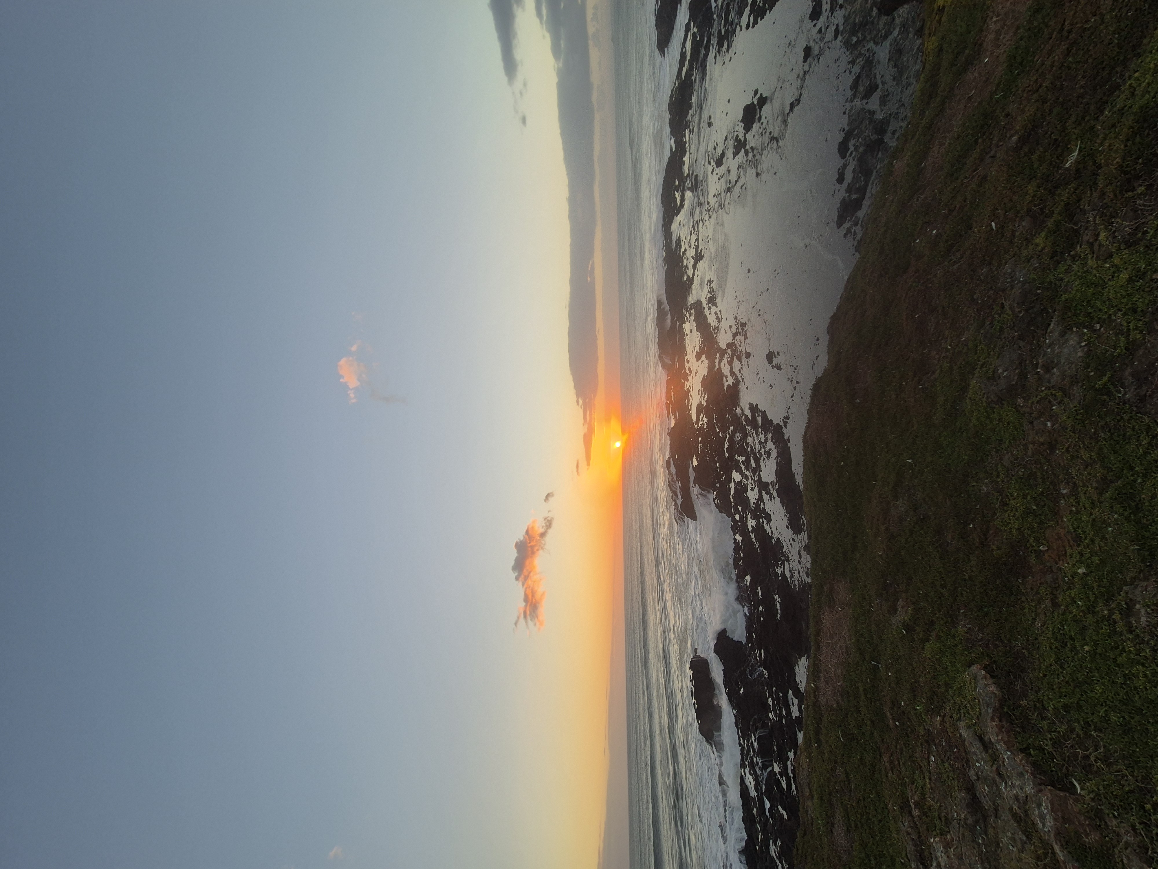 Maunganui Bluff Reserve image 1