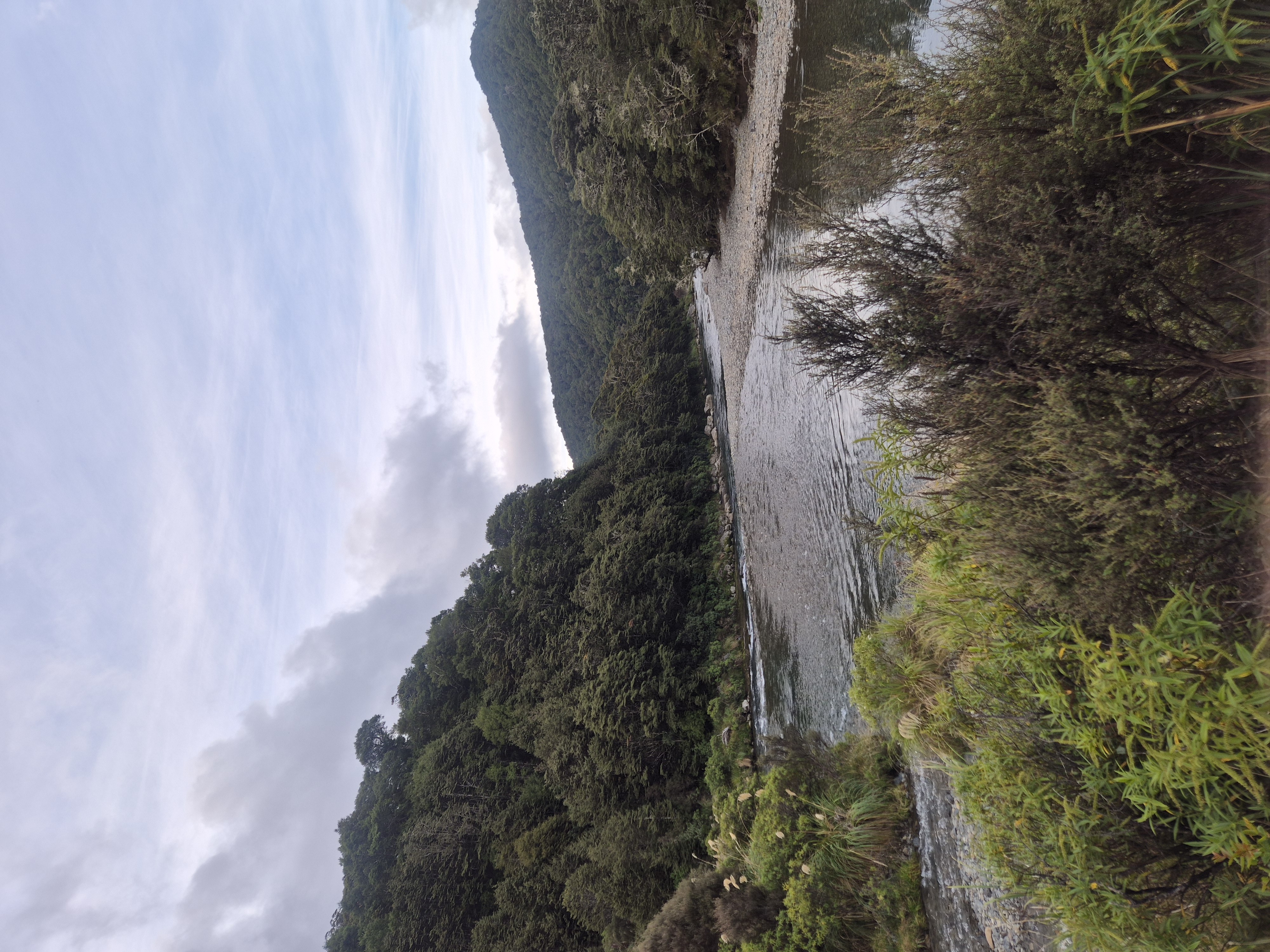 Waipakihi Campsite image 2