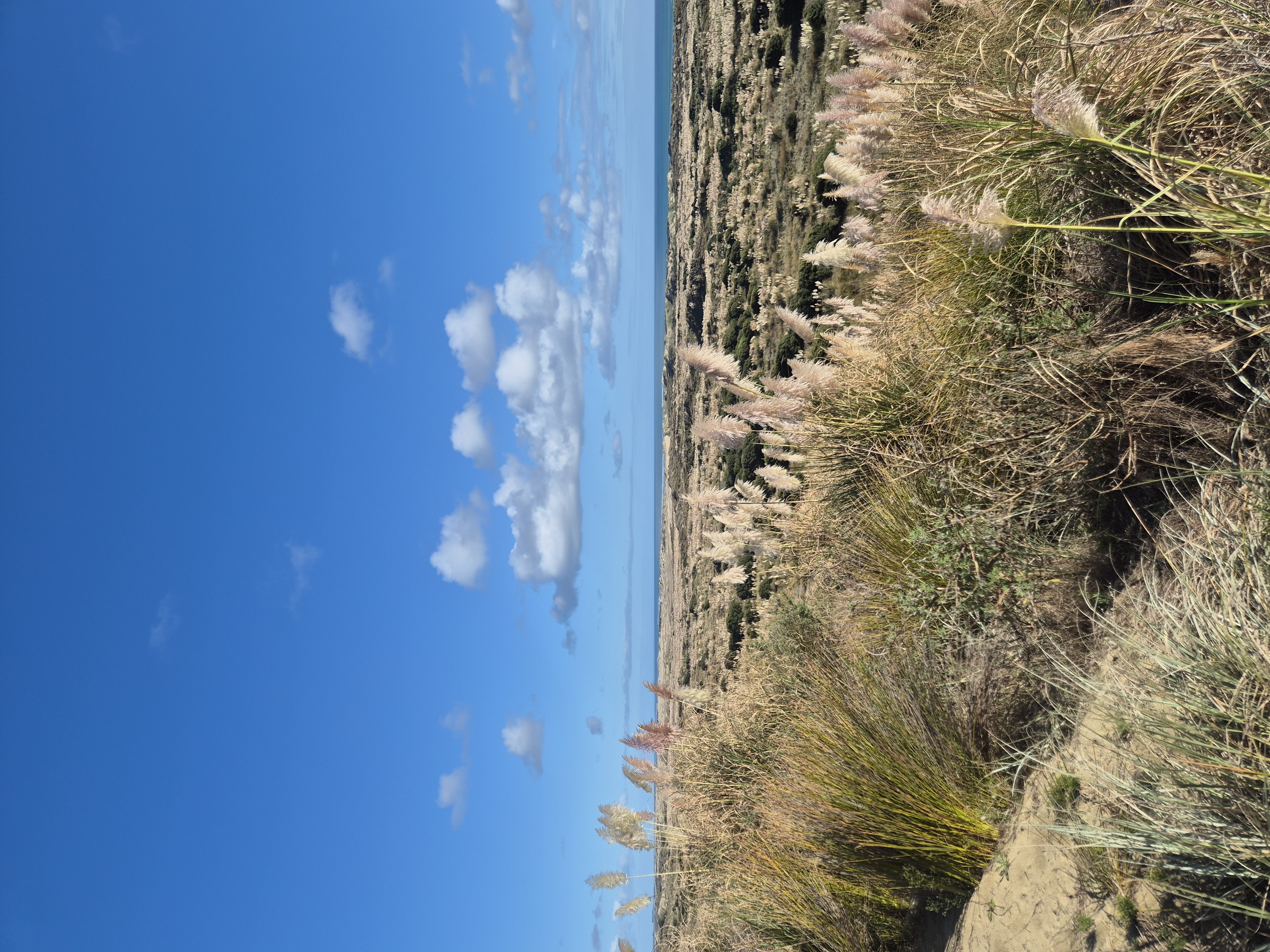 Poutu Inland Route image 2