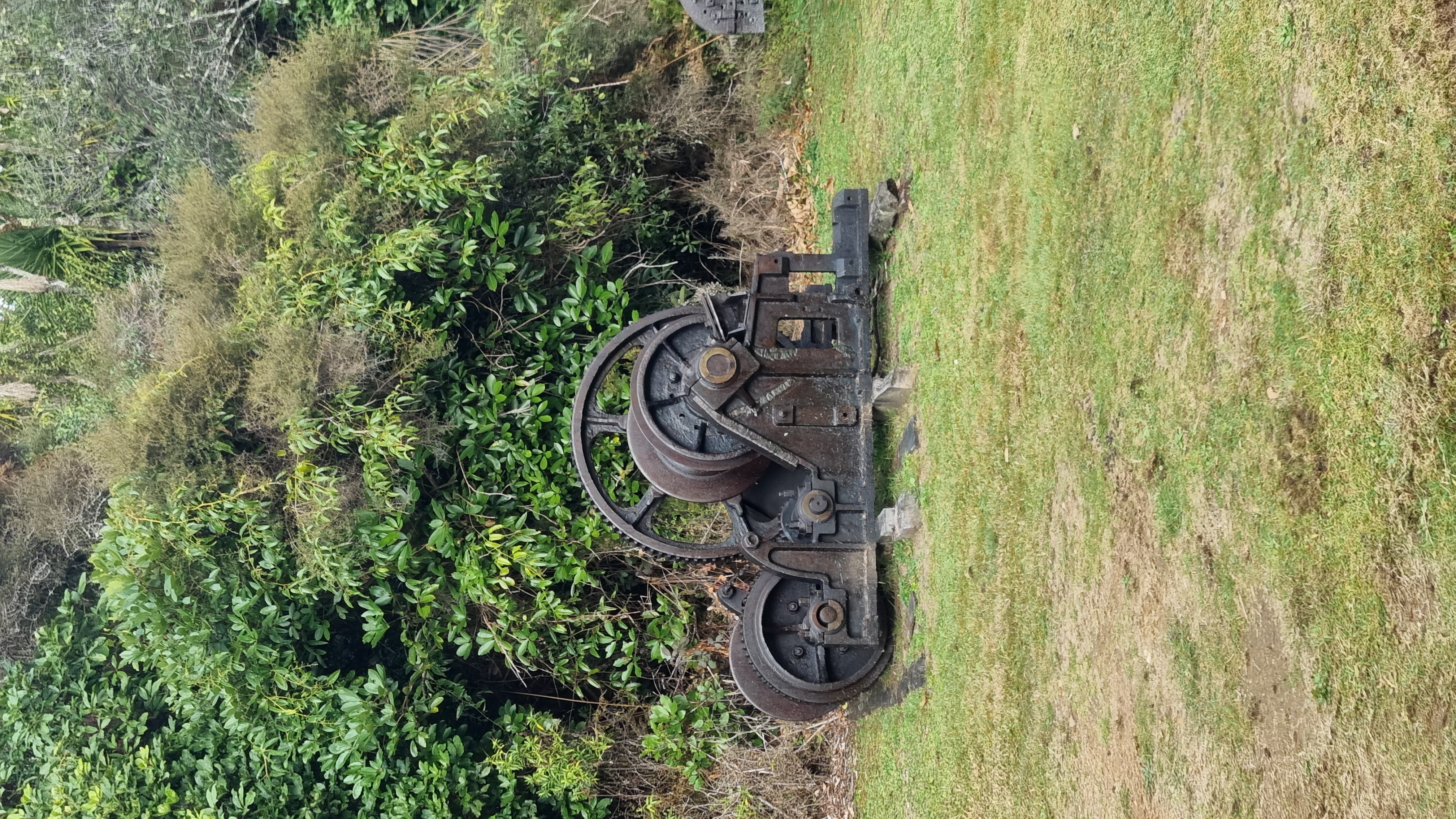 Centre of the North Island image 4