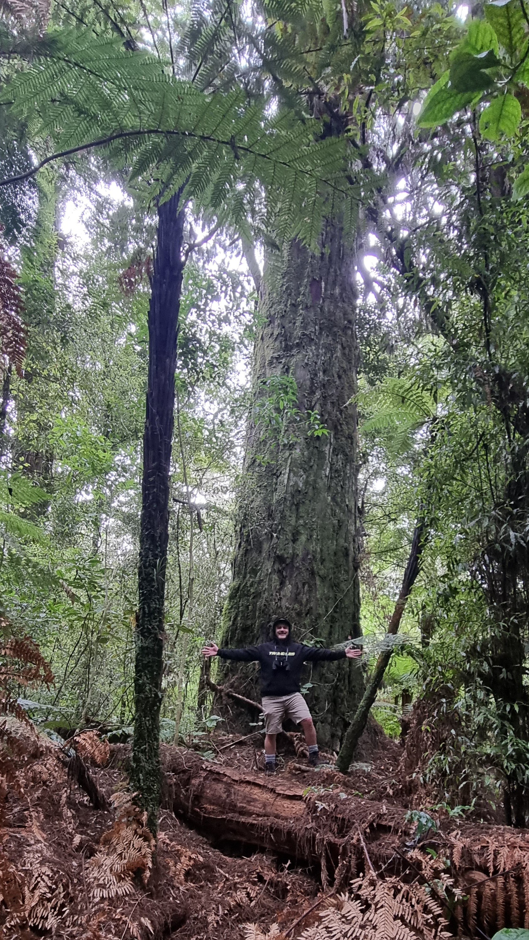 Centre of the North Island image 2