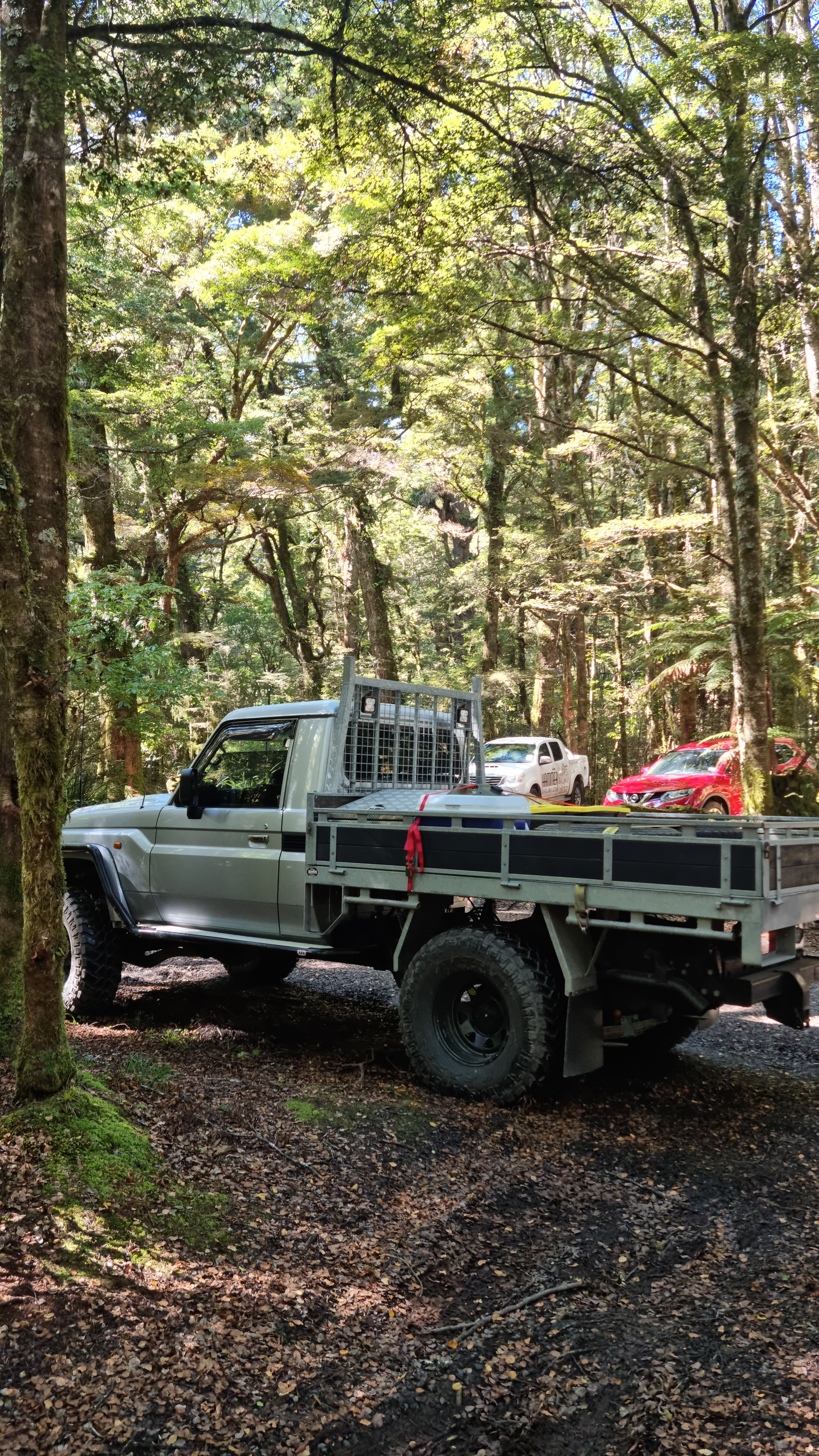 Kaimanawa Forest/Clements Mill image 1
