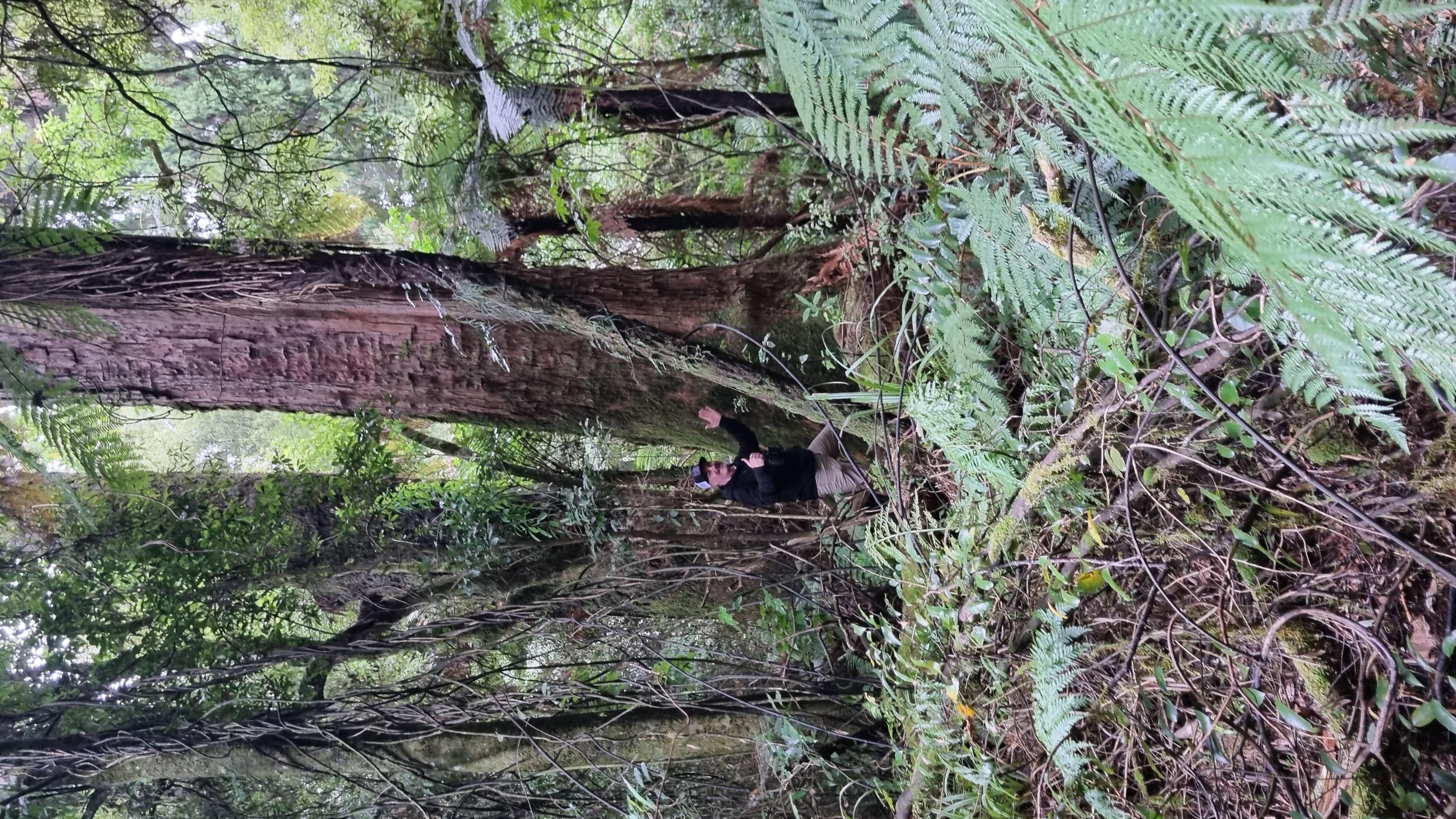 Centre of the North Island image 3