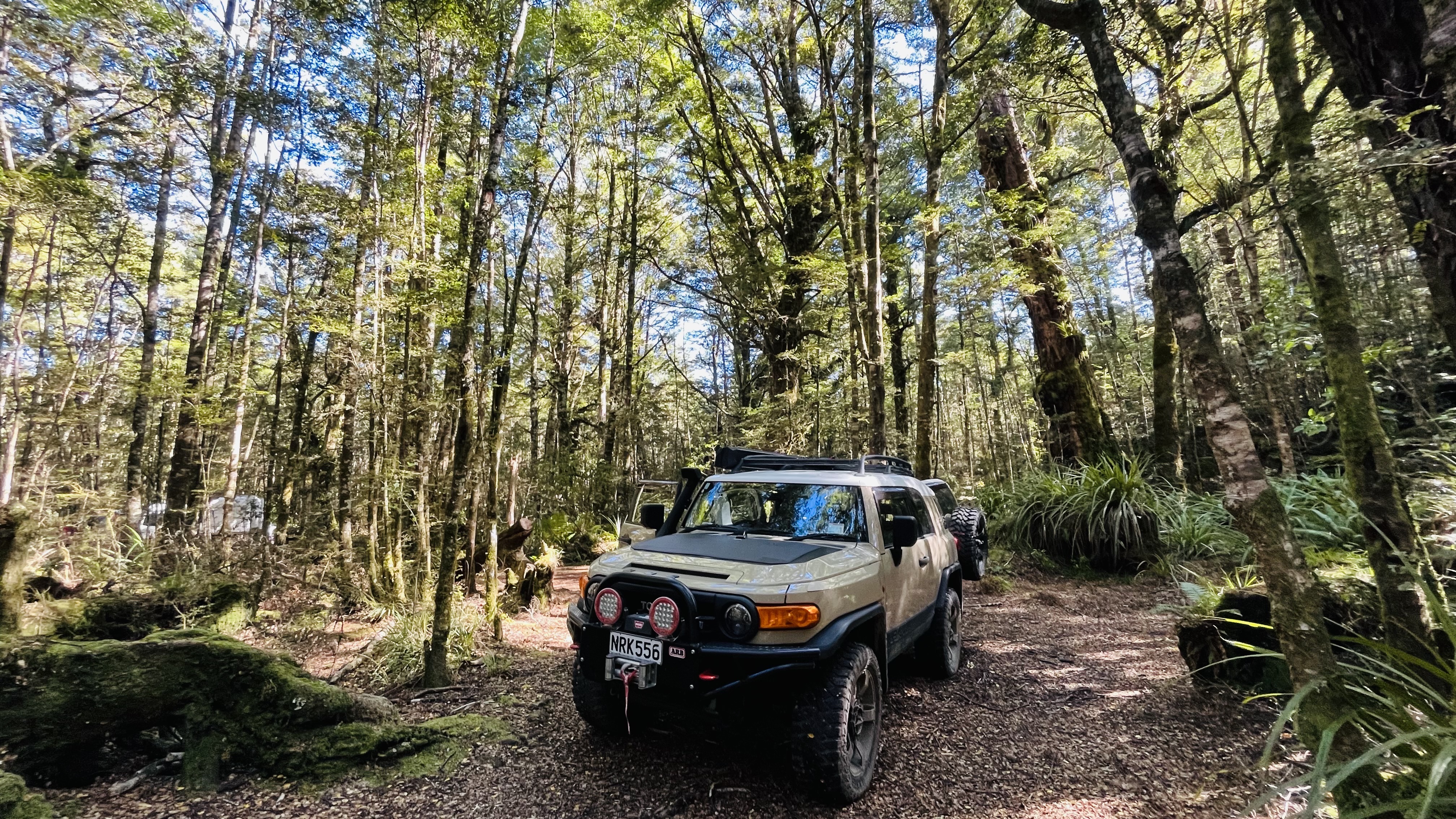 Clements Road End Campsite image 6