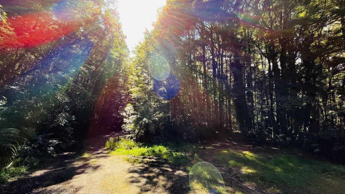 Te Iringa Campsite image 7