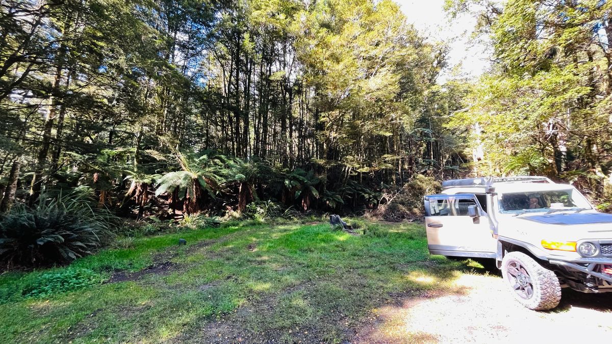 Te Iringa Campsite image 2